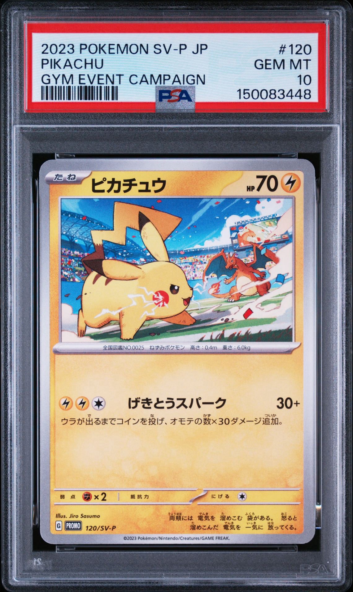 ピカチュウ: プロモ [SV-P 120](プロモーションカード「SV-P」) ピカチュウ: プロモ [SV-P 120](プロモーションカード「SV-P」)通販