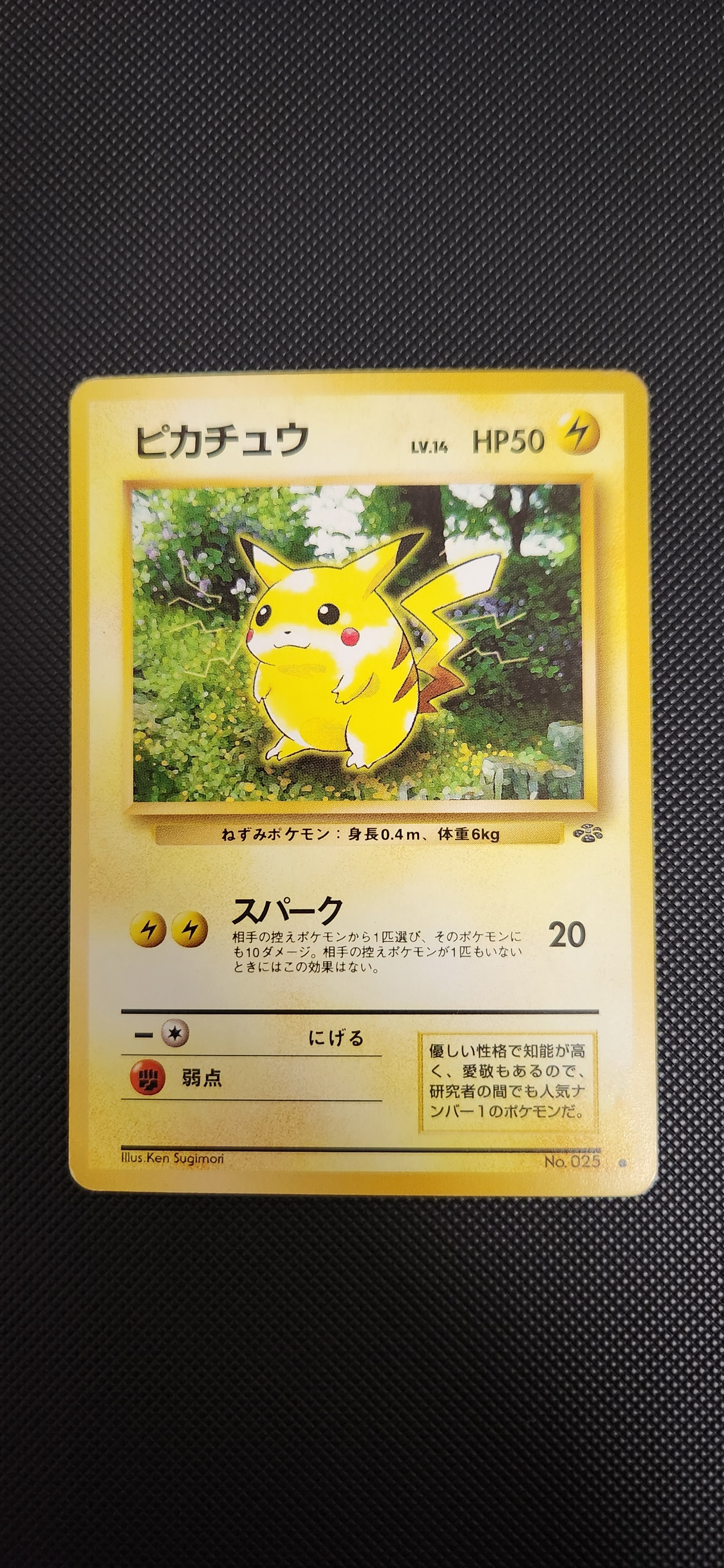 PSA10お公家さまと舞妓はんピカチュウ: プロモ[XY-P 221⁄XY-P