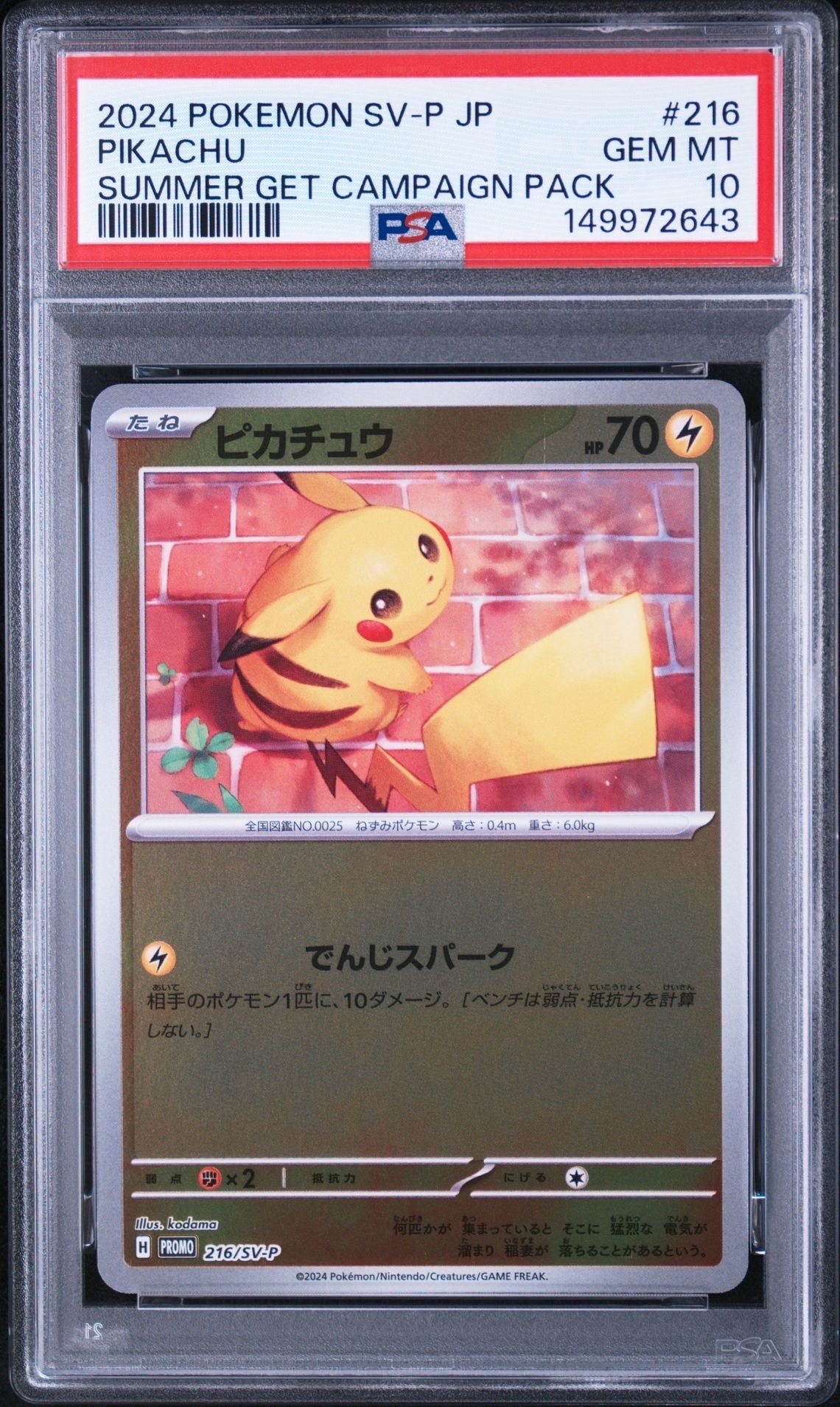 PSA　セット　ピカチュウ ポケカの夏がキタ！プロモカード 216/SV-P ピカチュウ P [SV-P 216](プロモカードパック「ポケカの夏がキタ