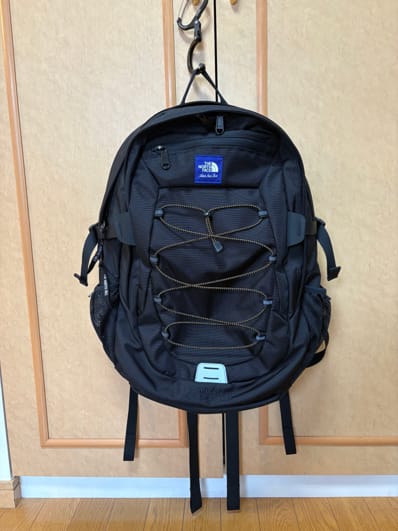 The North Face x Aime Leon Dore Borealis Classic Backpack "Black"
