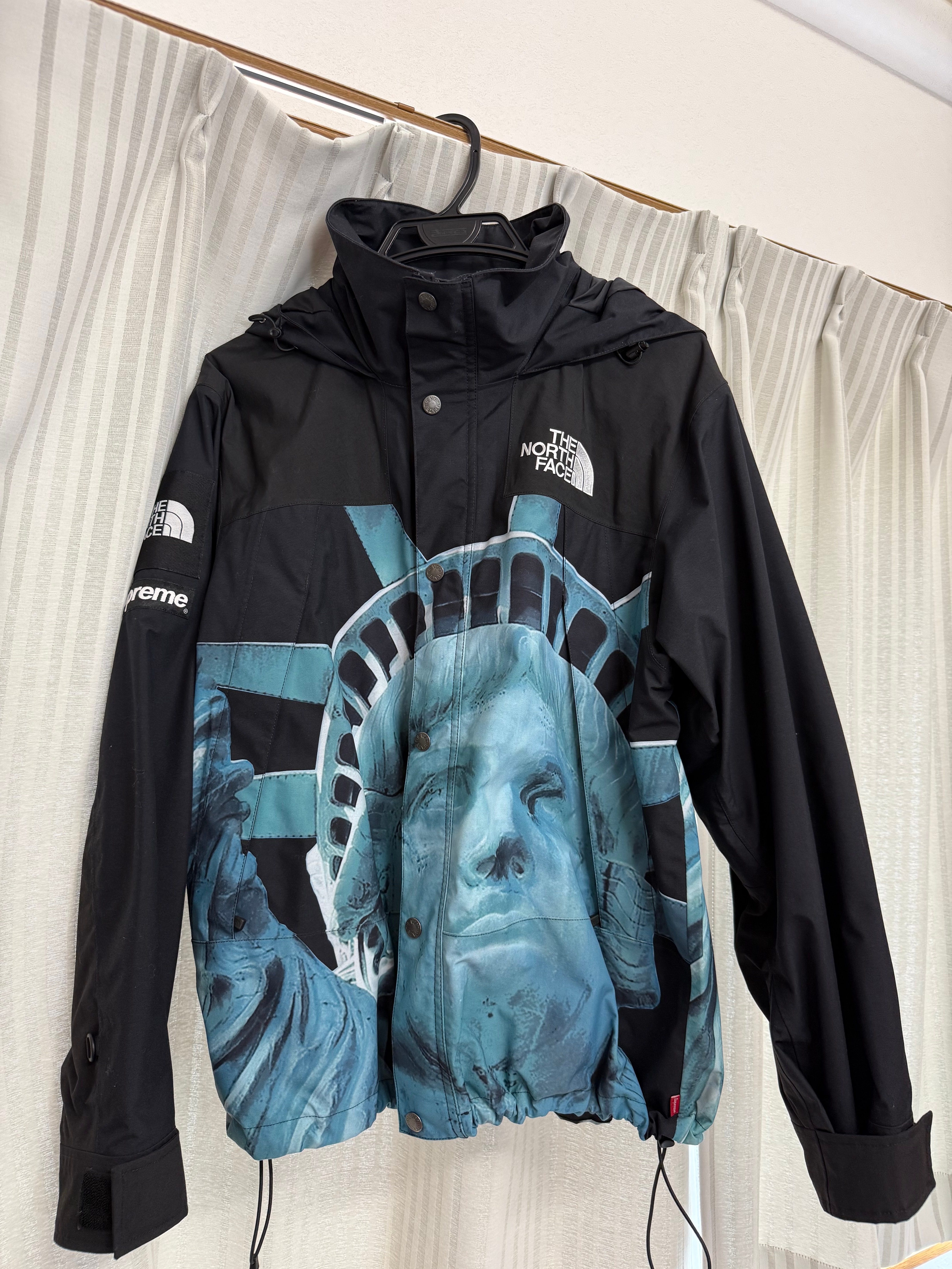 Supreme x The North Face Statue of Liberty Mountain Jacket 