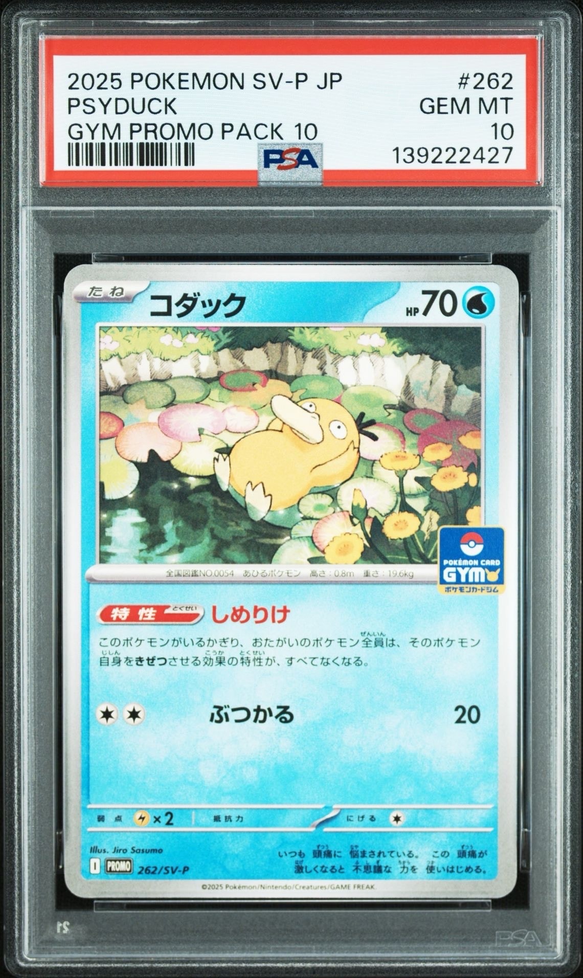 コダック P [SV-P 262](プロモカードパック「第10弾」)