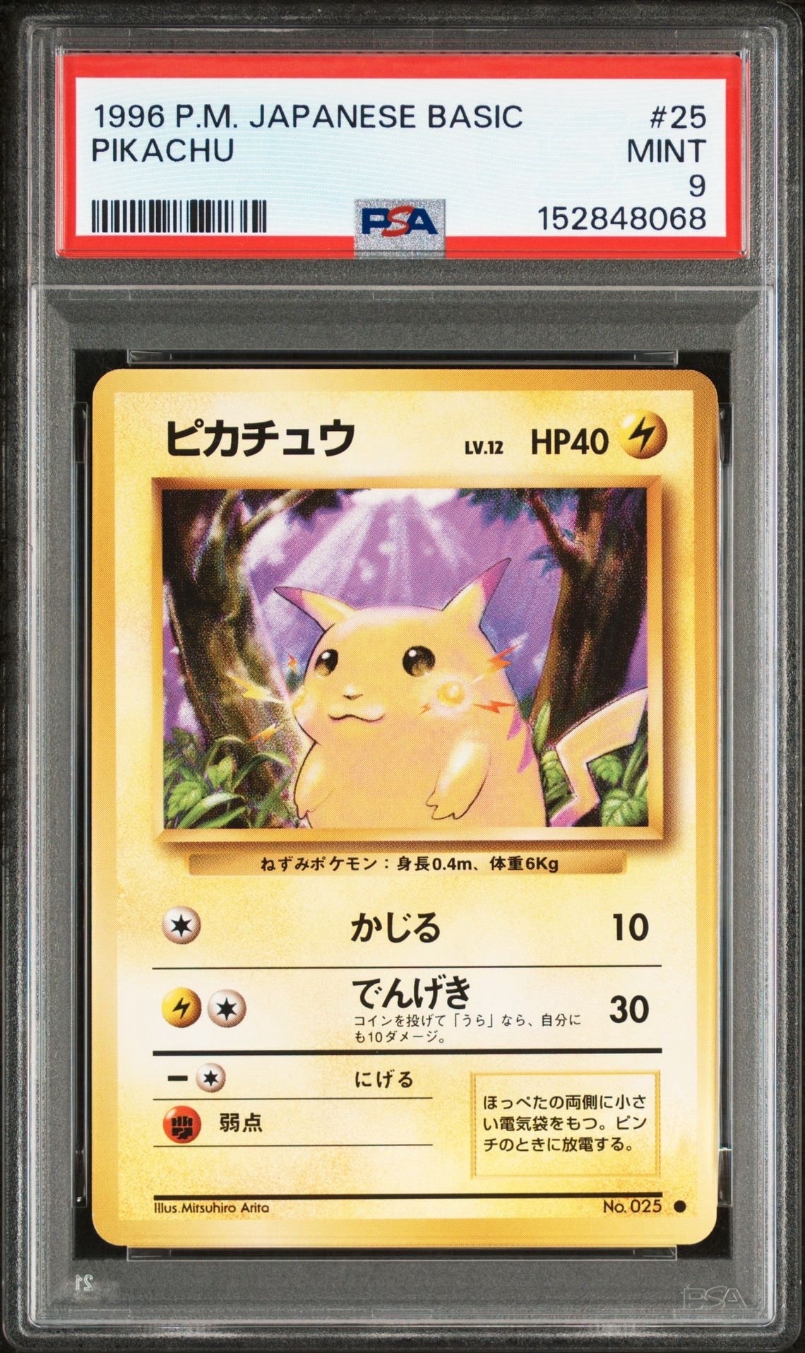 ピカチュウ ● : 旧裏 [PMCG1-2](拡張パック「ポケットモンスター カードゲーム」再販)