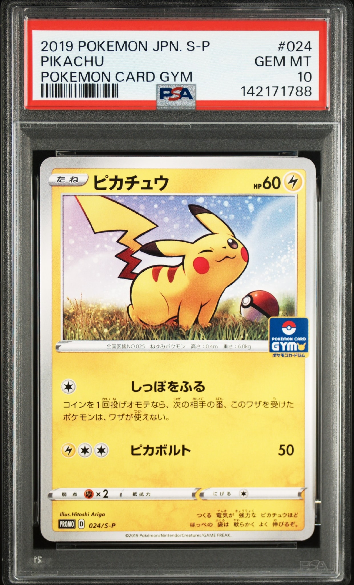 ピカチュウ: プロモ P [S-P 024](ポケモンカードゲーム ソード&シールド 「プロモカードパック 第1弾」)