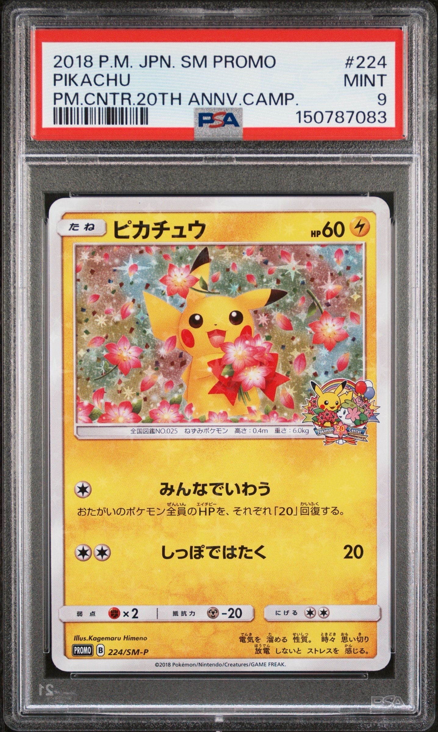 ピカチュウ: プロモ[SM-P 224](プロモーションカード「SM-P」)