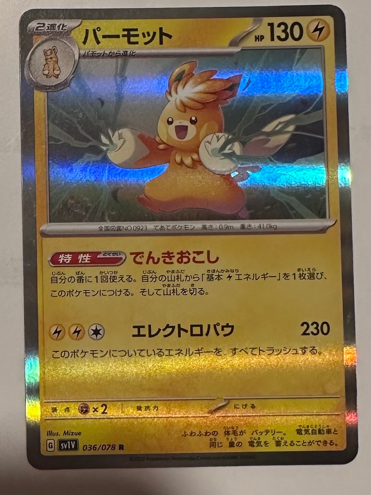 ポンチョを着たイーブイ: プロモ[SM-P 140](プロモーションカード「SM