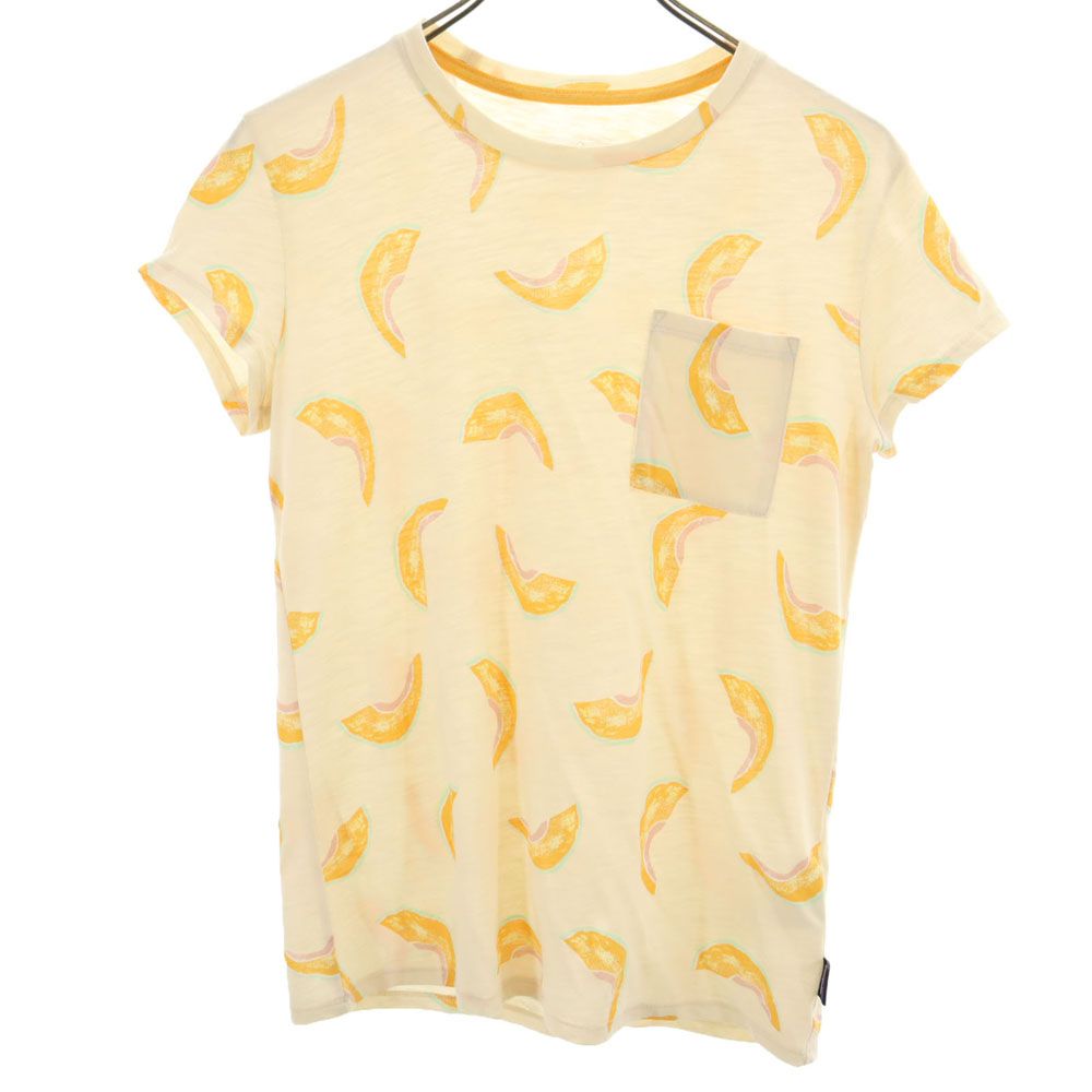 patagonia 20年製 半袖 Tシャツ