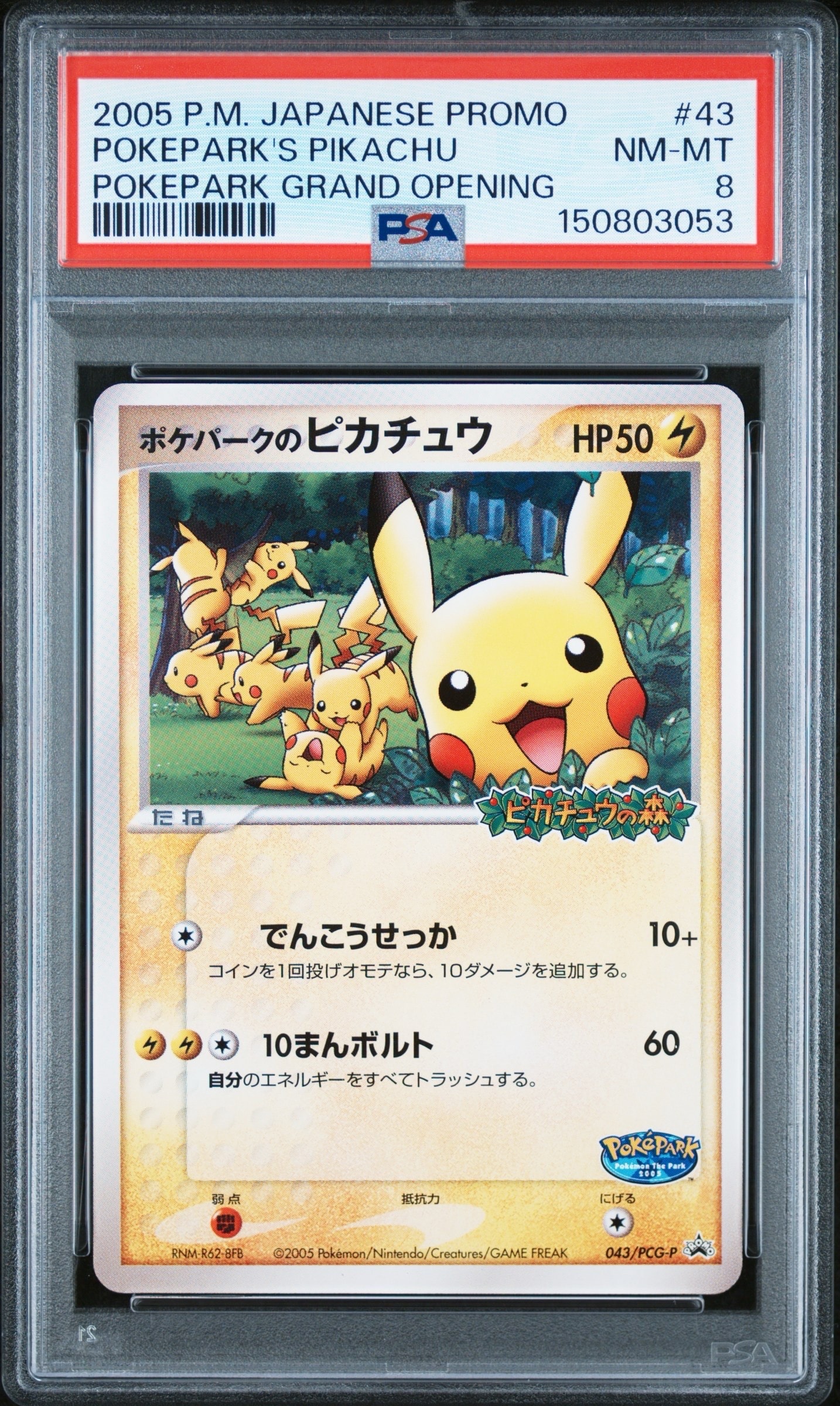 ポケパークのピカチュウ P [PCG-P 043](プロモーションカード