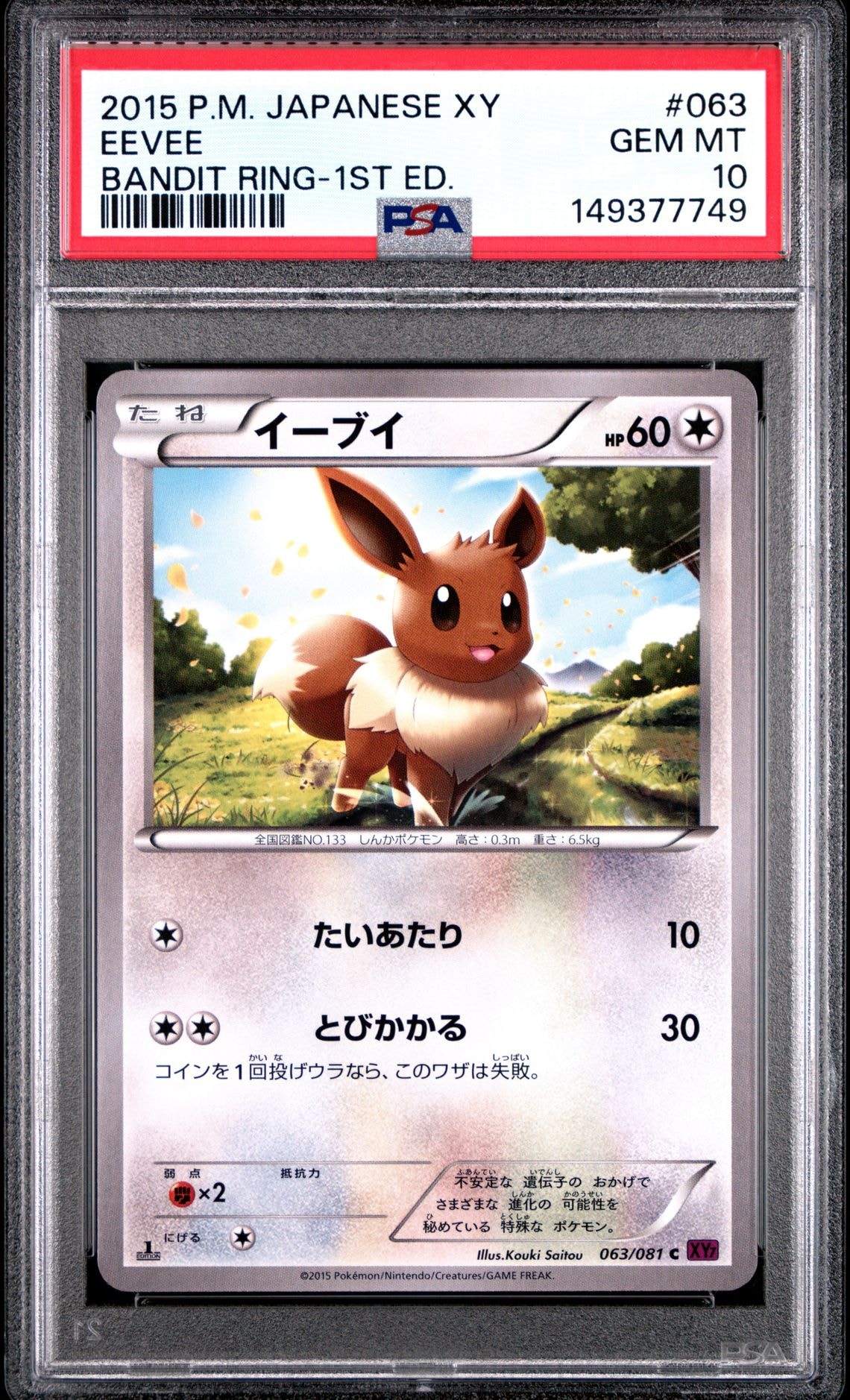 PSA10】イーブイ C [XY7 063/081](拡張パック「バンデットリング」) 1