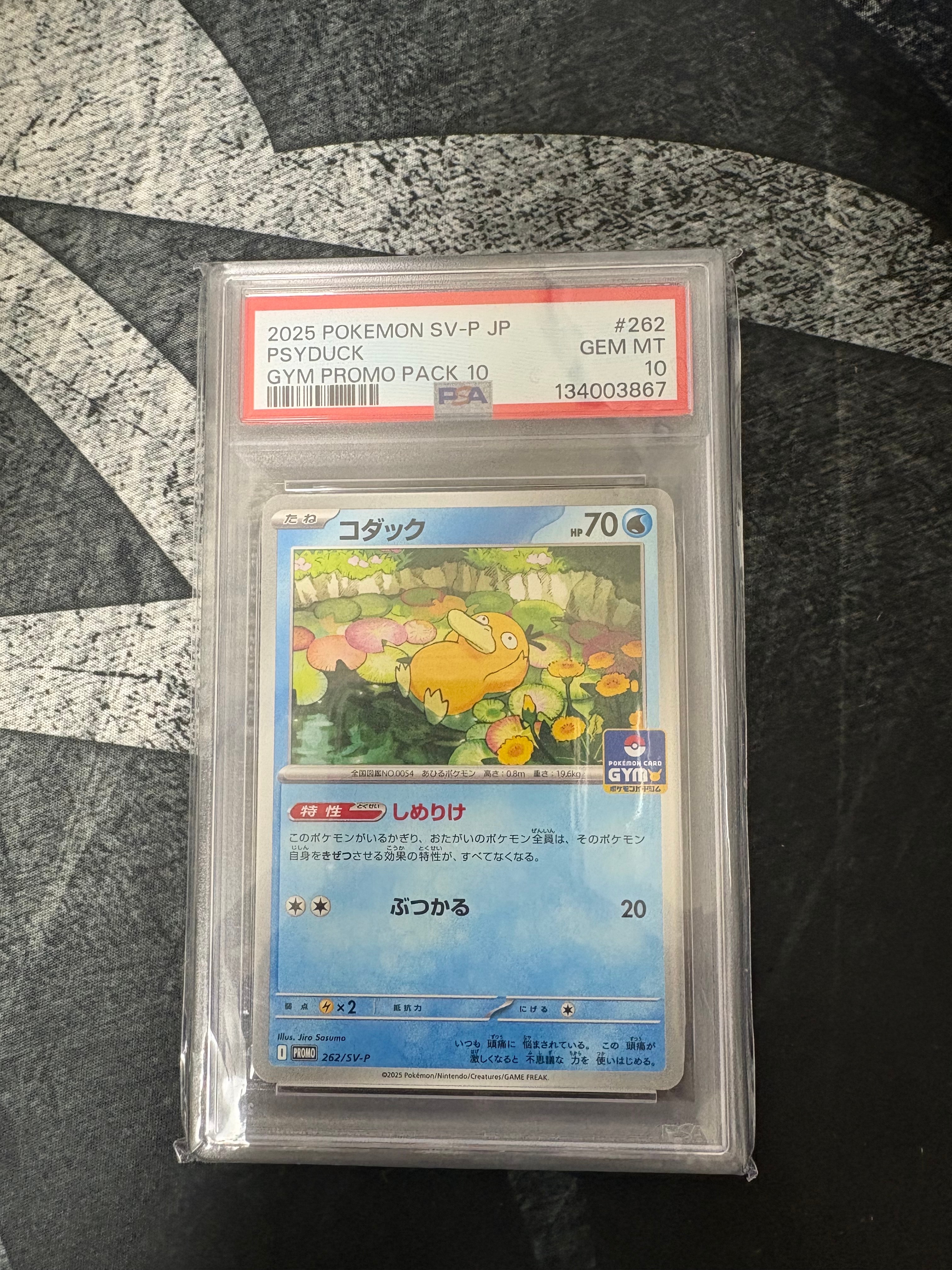 コダック P [SV-P 262](プロモカードパック「第10弾」)の新品/中古