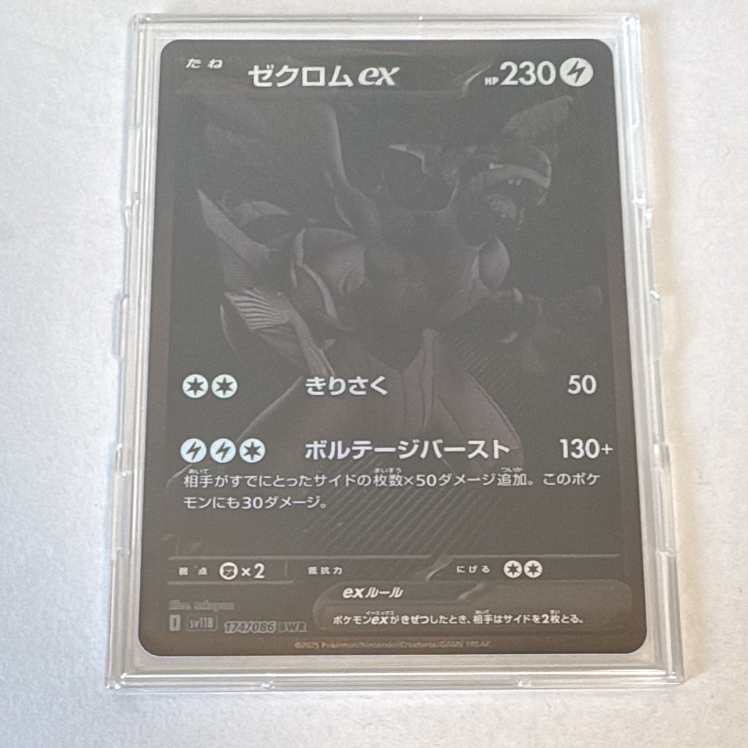 8424146.jpeg?size=m