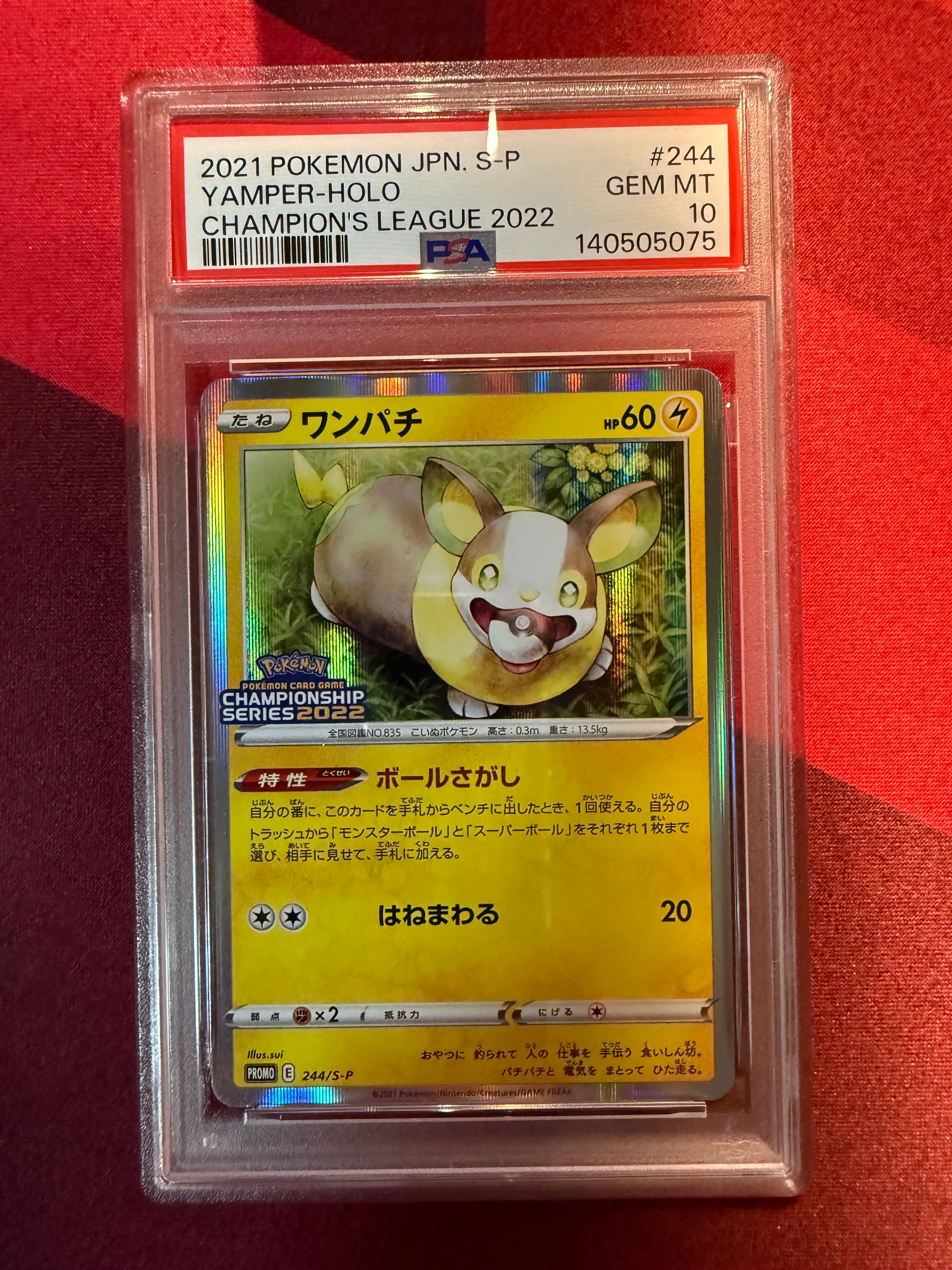 ワンパチ:プロモ [S-P 244](プロモーションカード「S-P」)の新品/中古