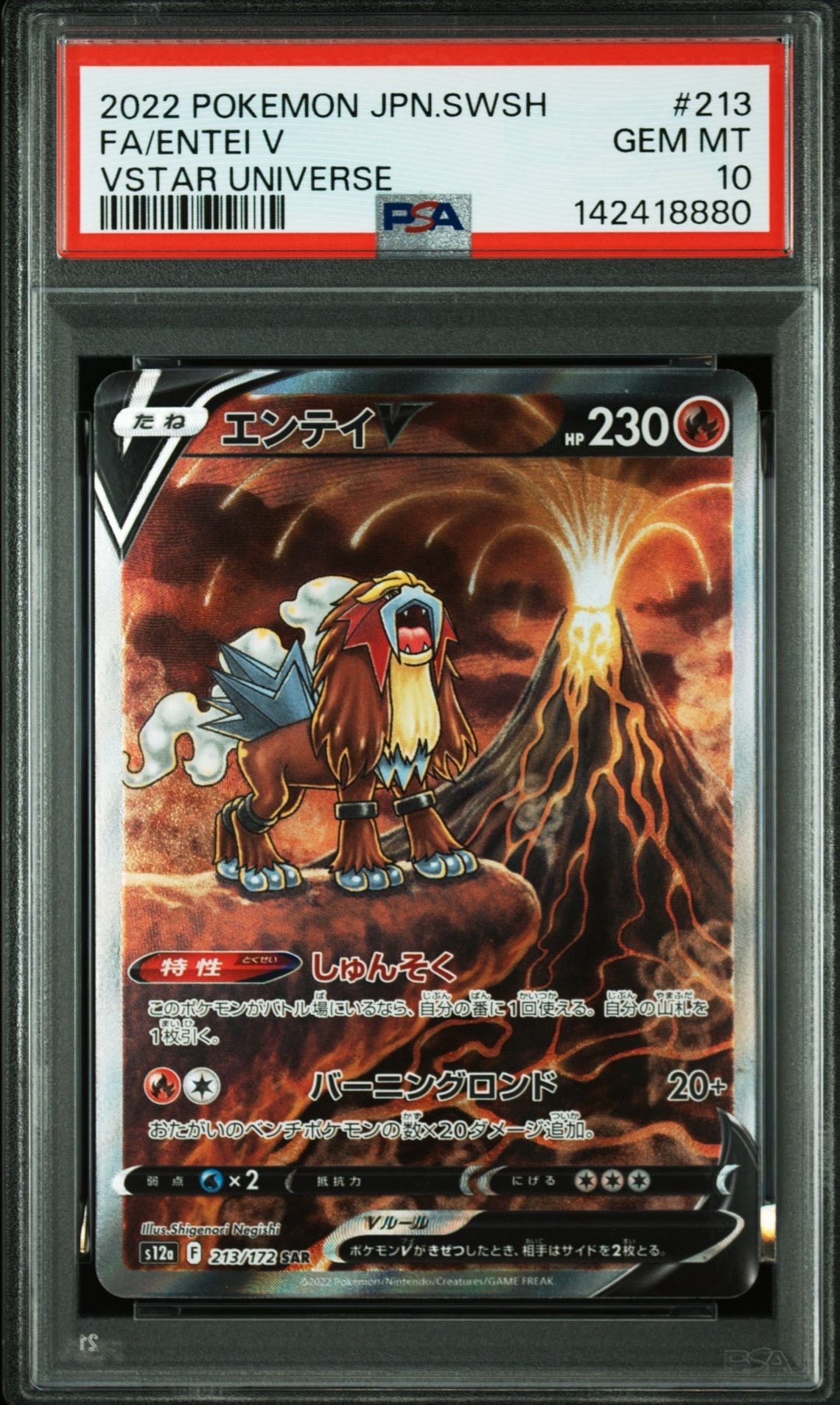 エンテイV SAR[s12a 213/172](ハイクラスパック「VSTARユニバース」)