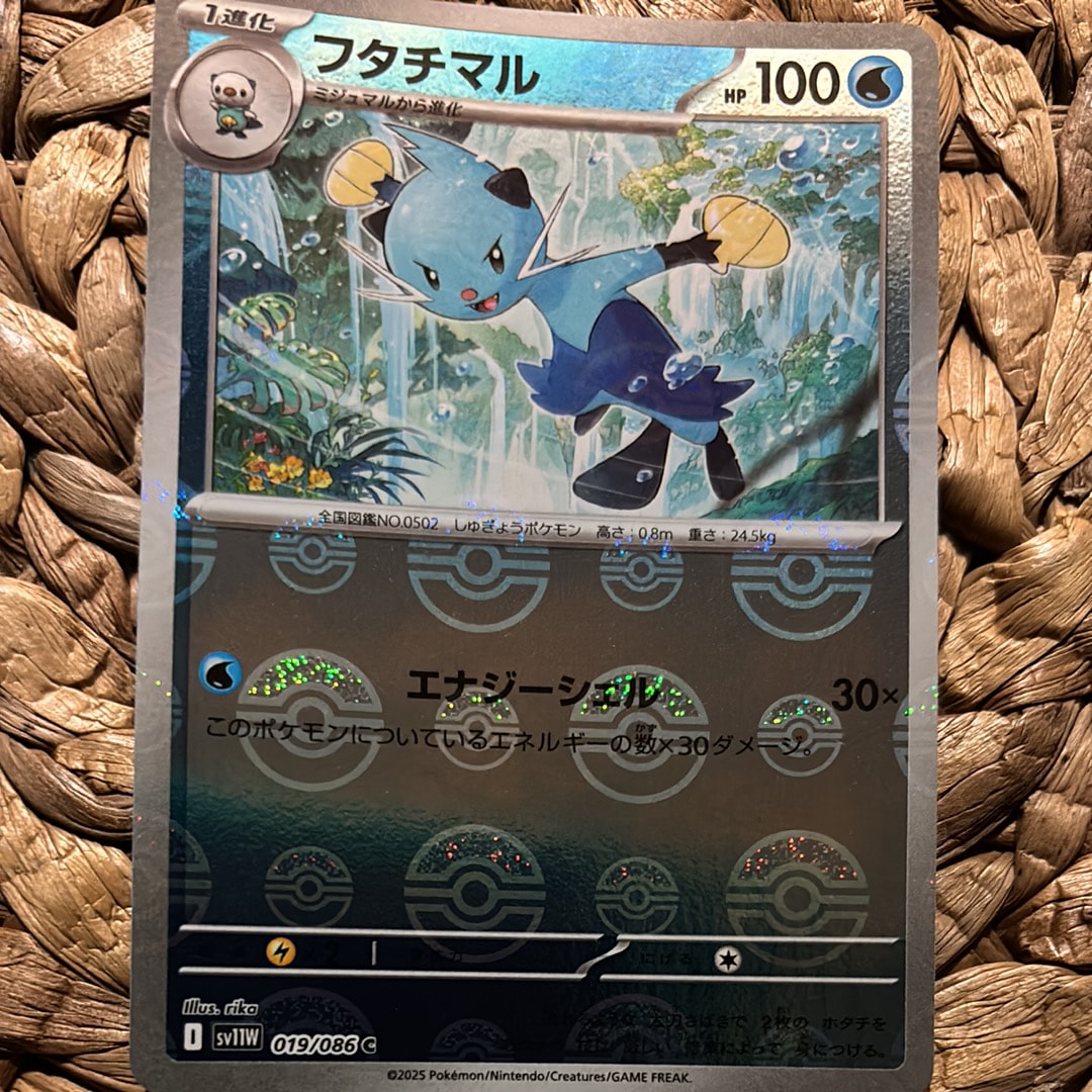 フタチマル C :マスターボールミラー [SV11W 019/086](拡張パック「ホワイトフレア」)