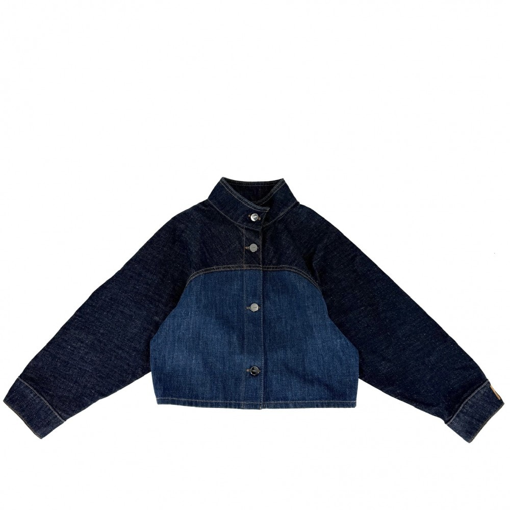 FENDI フェンディ デニムジャケット スタンドカラー アウター ショートジャケット アパレル 服 38 インディゴ ガンメタル金具 コットン    レディース 春 秋 美品【中古品】