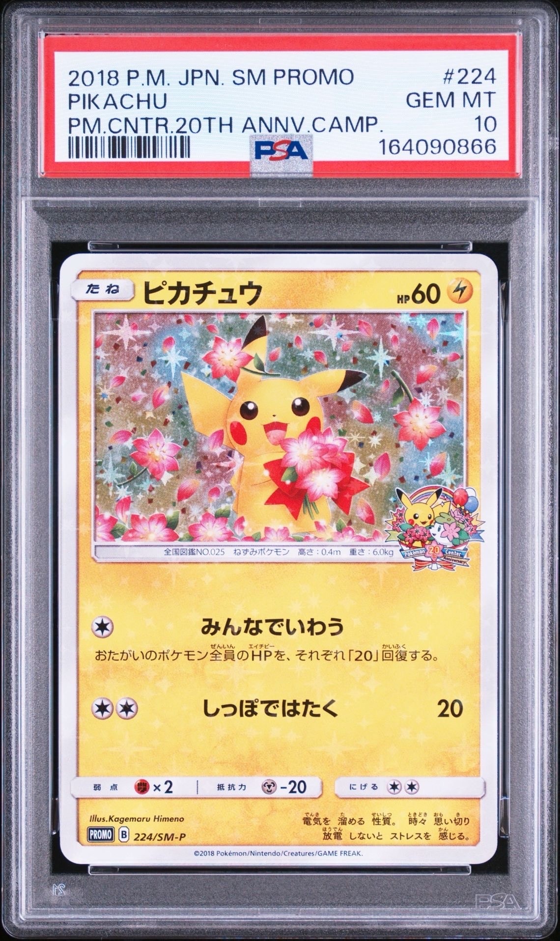 ピカチュウ: プロモ[SM-P 224](プロモーションカード「SM-P」)の新品