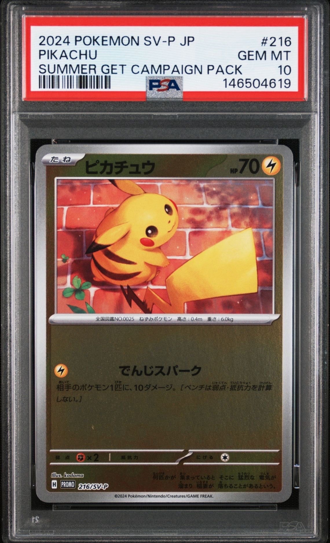 ピカチュウ P [SV-P 216](プロモカードパック「ポケカの夏がキタ!プロモカードGetキャンペーン!」)