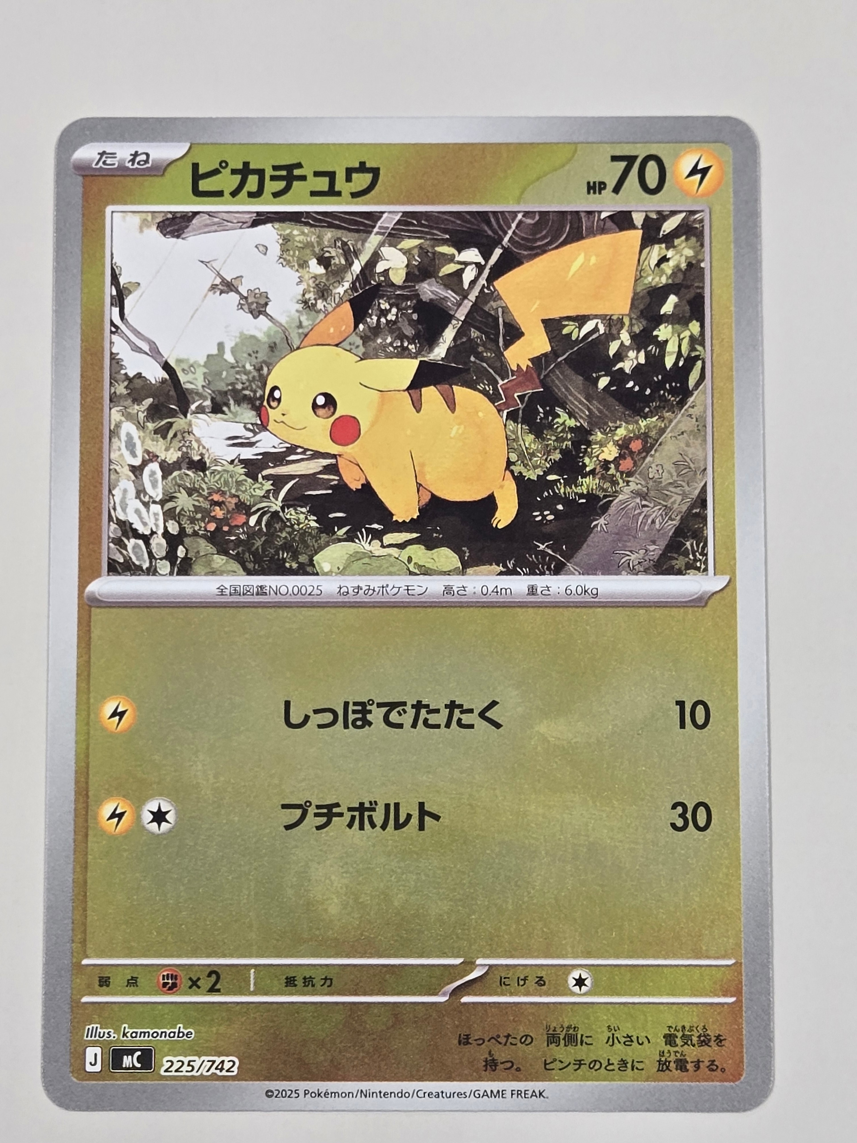 PSA10】シャワーズex SAR [SV8a 205/187](ハイクラスパック「テラス