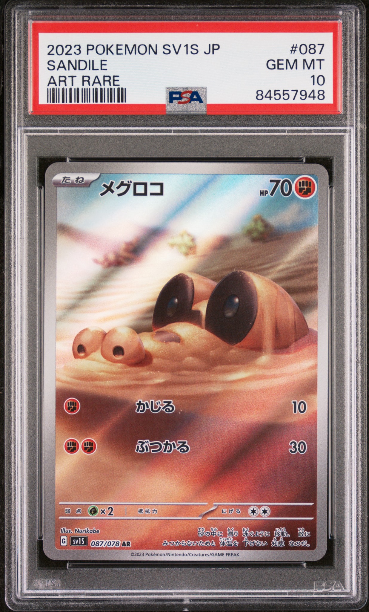 メグロコ AR[SV1S 087/078](スカーレット&バイオレット 拡張パック「スカーレットex」)