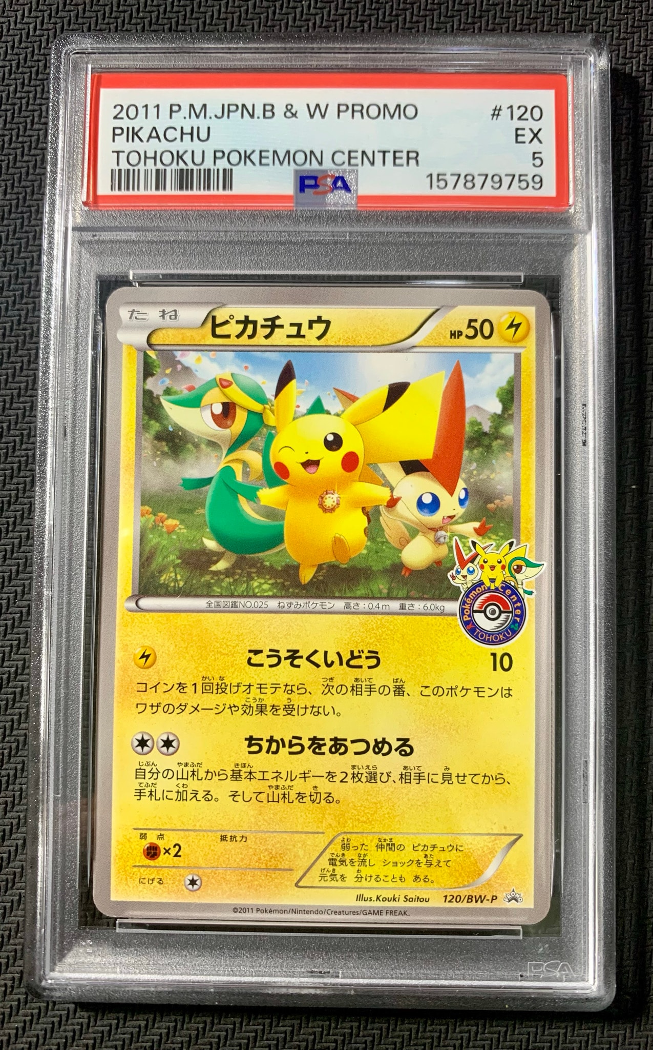ピカチュウ P [BW-P 120/BW-P](プロモーションカード「ポケモン