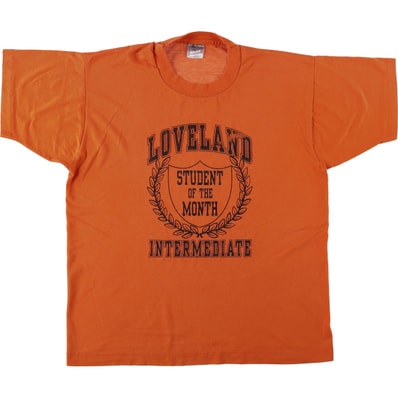 古着 90年代 フルーツオブザルーム FRUIT OF THE LOOM 3連プリント カレッジTシャツ USA製 メンズL相当 ヴィンテージ/eaa650970