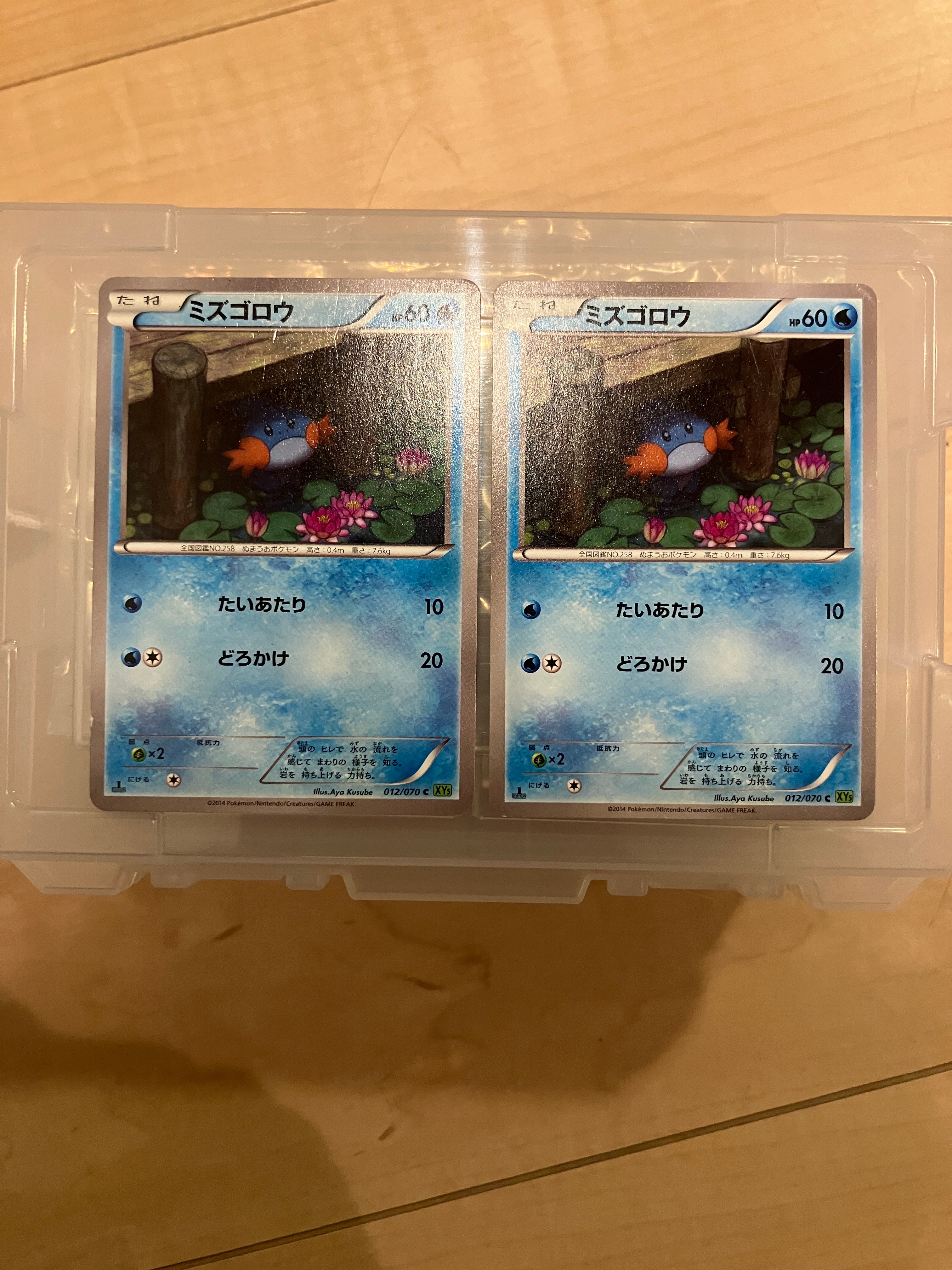 ミズゴロウ C :1ED [XY5 012/070](拡張パック「タイダルストーム
