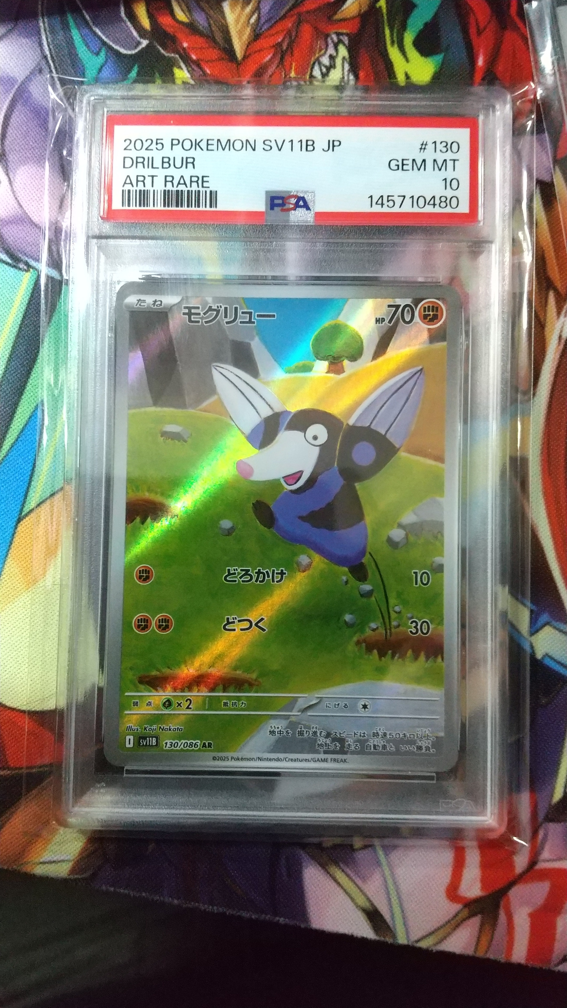 コダック: プロモ[XY-P](プロモーションカード「XY-P」)の新品/中古