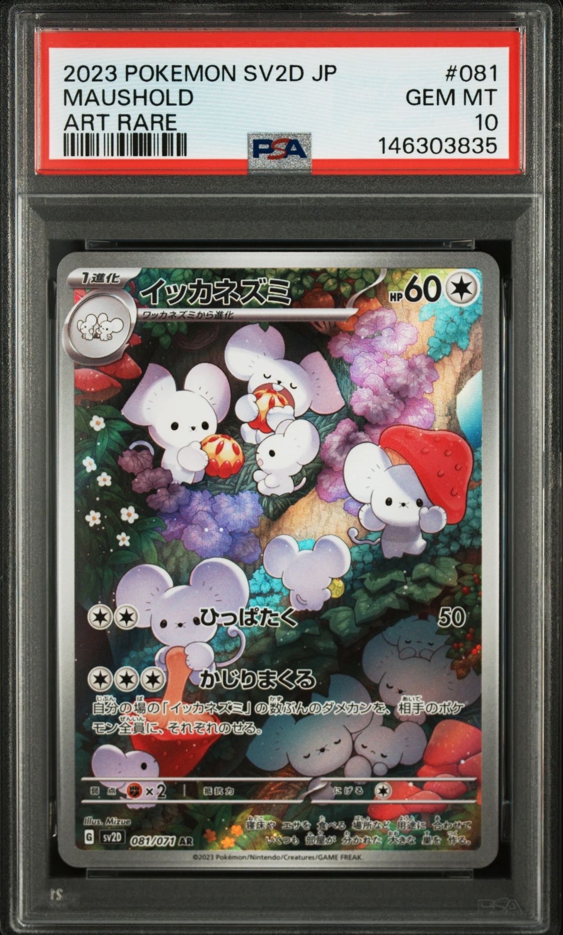 イッカネズミ AR[SV2D 081/071](拡張パック「クレイバースト」)の新品