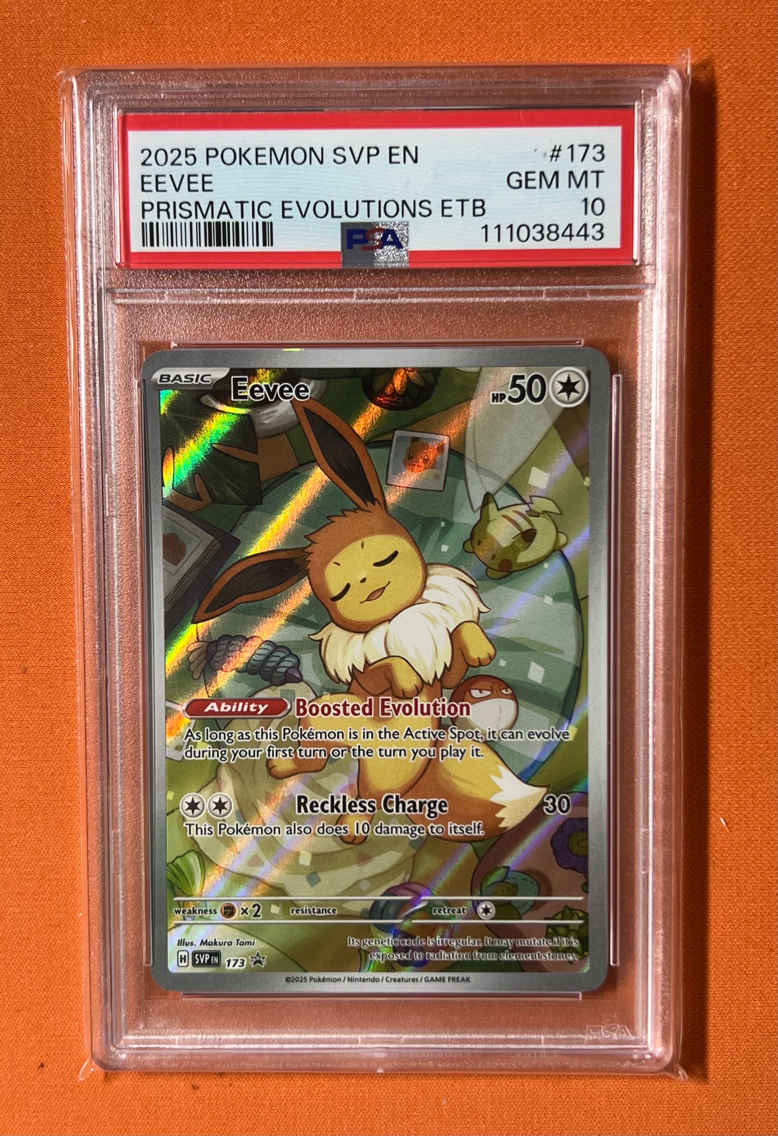 イーブイ P [SVP EN 173]【英語版】(スカーレット&バイオレット「プリズマティックエボリューションズ エリートトレーナボックス」)