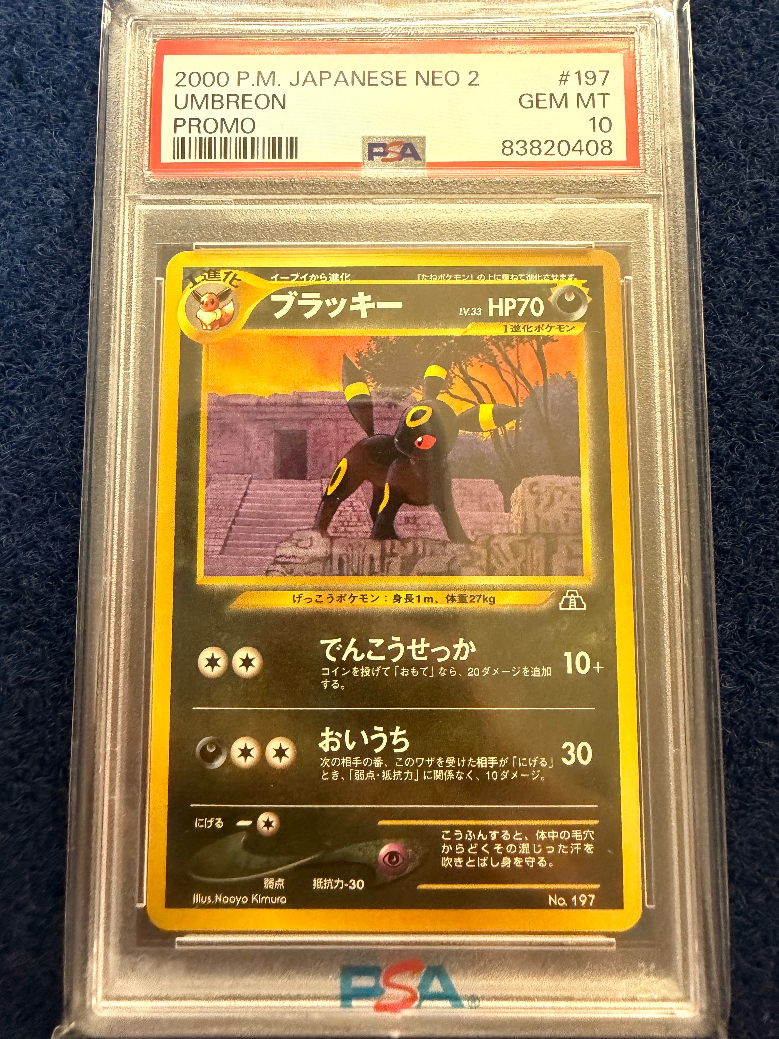 ブラッキープレミアムファイル2: 旧裏[neoP2 No.197](プレミアムファイル2)