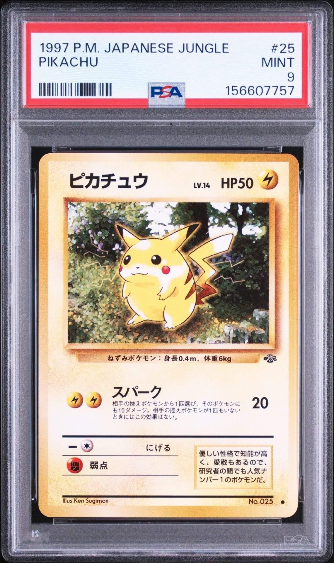 ピカチュウ ● : 旧裏 [PMCG2 No.025](拡張パック「ポケモンジャングル」)