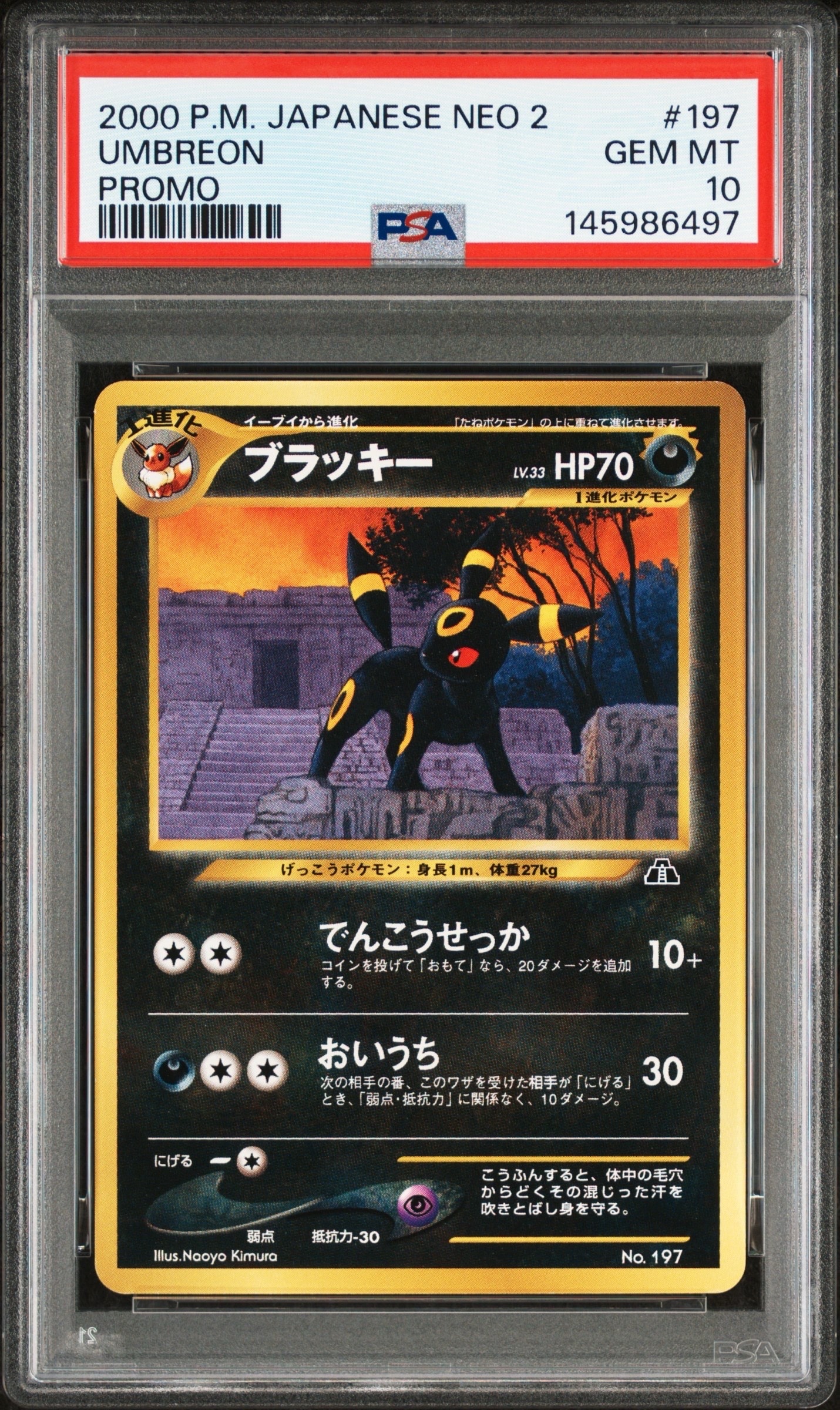 ブラッキープレミアムファイル2: 旧裏[neoP2 No.197](プレミアムファイル2)