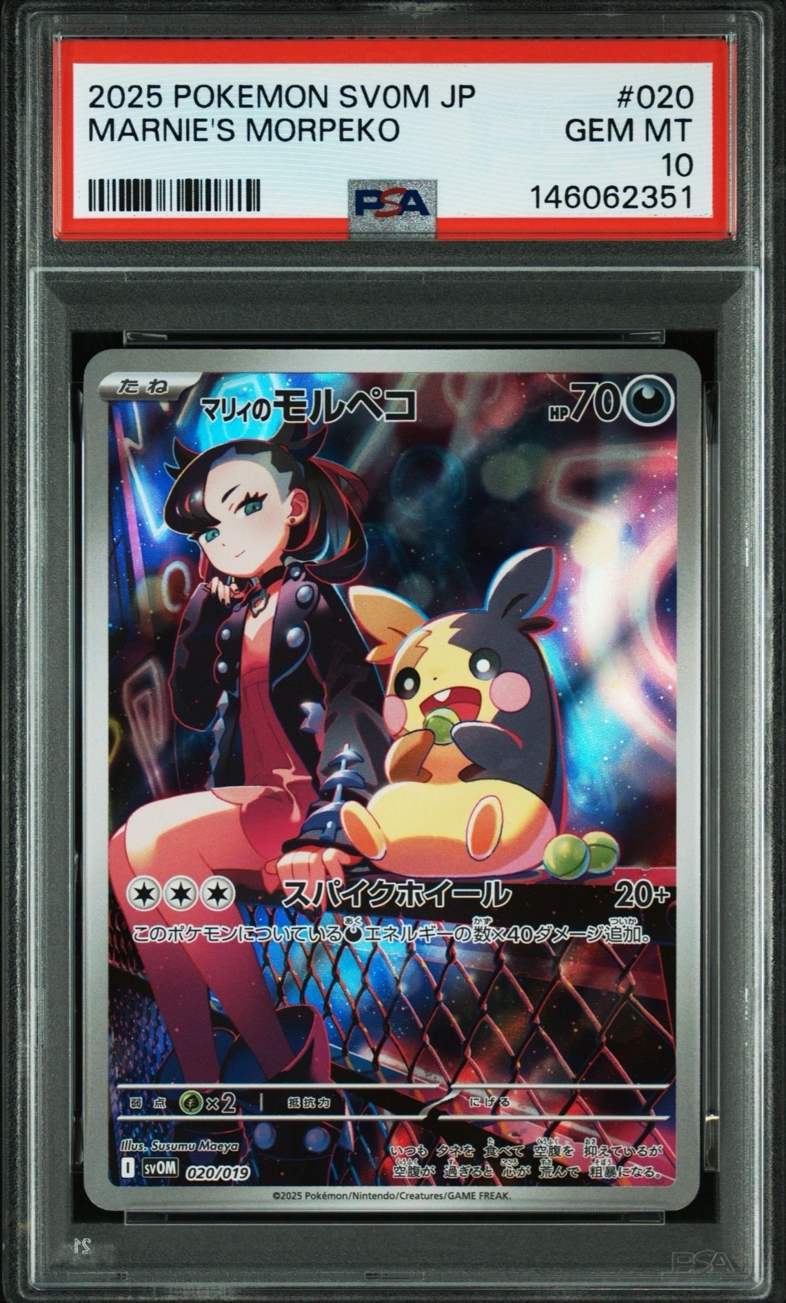 PSA10】マリィのモルペコ [SVOM 020/019](スターターセットex「マリィ