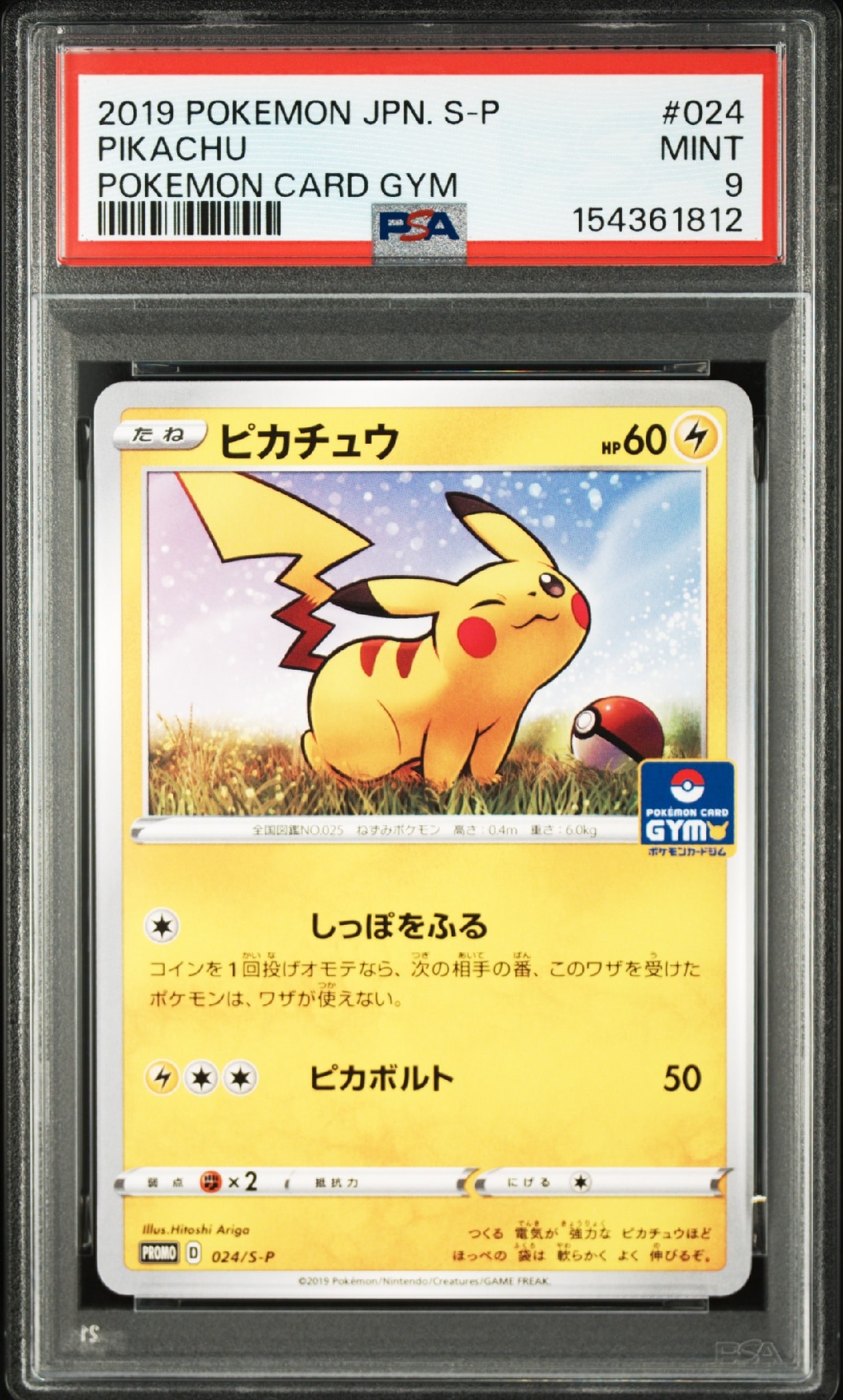 ピカチュウ: プロモ P [S-P 024](ポケモンカードゲーム ソード&シールド 「プロモカードパック 第1弾」)