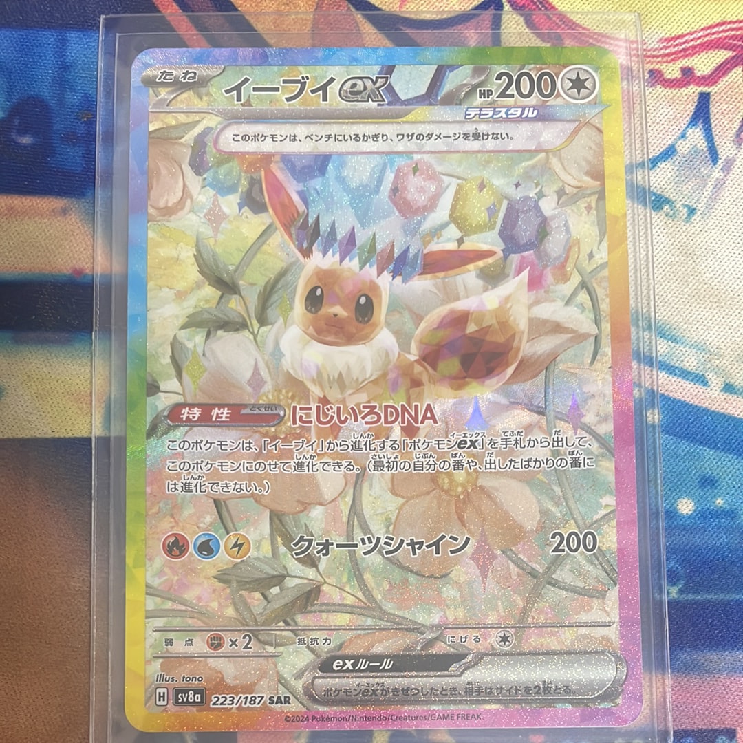 殿堂の書: プロモ[XY-P](プロモーションカード「XY-P」)の新品/中古