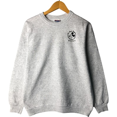 古着 90年代 ヘインズ Hanes ACTIVEWEAR キャラクタースウェットシャツ トレーナー USA製 メンズL相当 ヴィンテージ/eaa418996