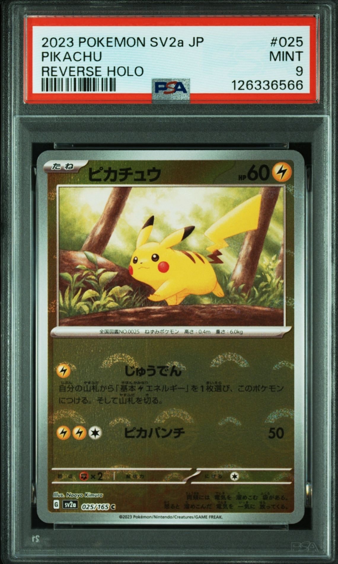 ピカチュウ C: モンスターボールミラー[SV2a 025/165](強化拡張パック「ポケモンカード151」)