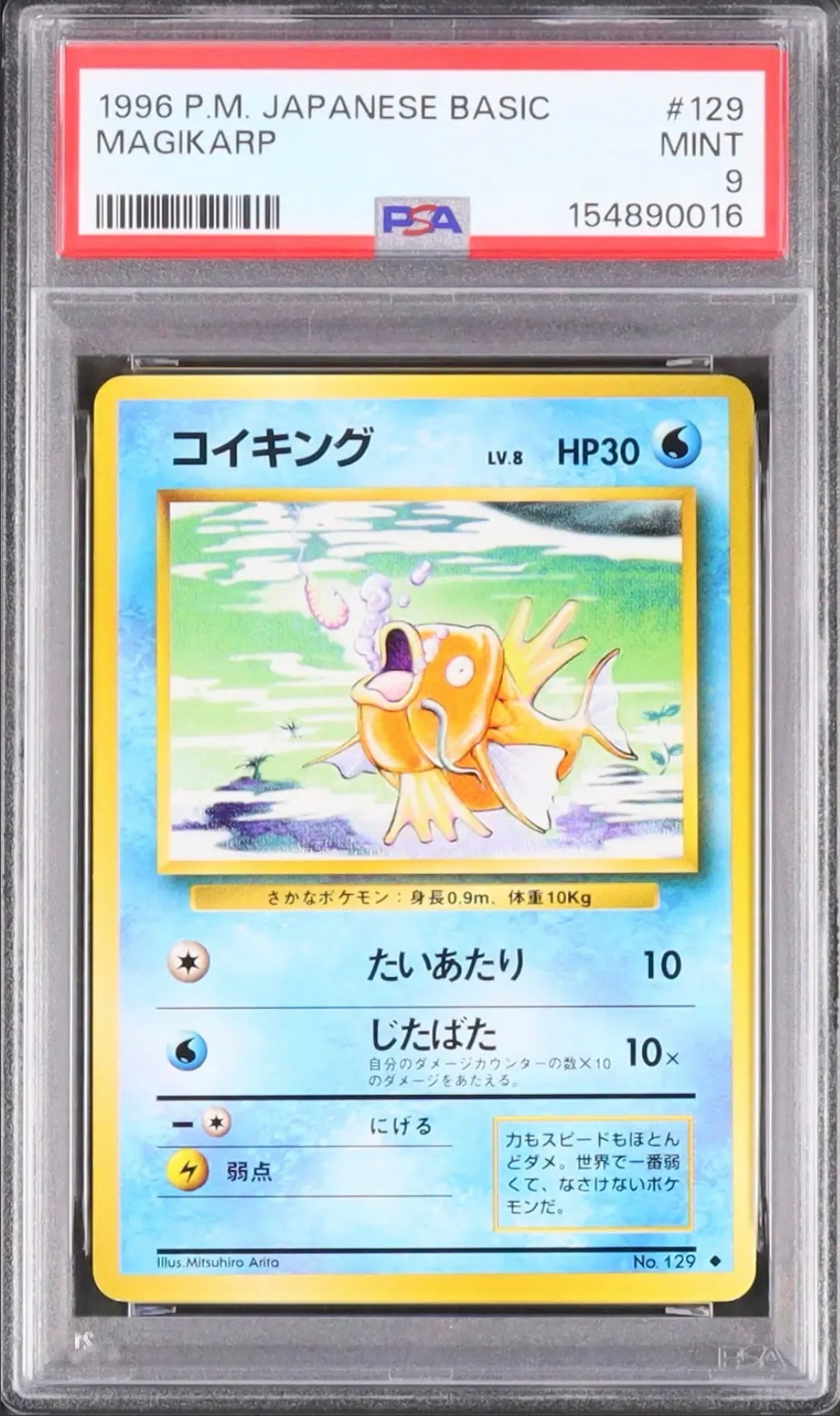 コイキング ◆ : 旧裏 [PMCG1-2](拡張パック「ポケットモンスター カードゲーム」再販)