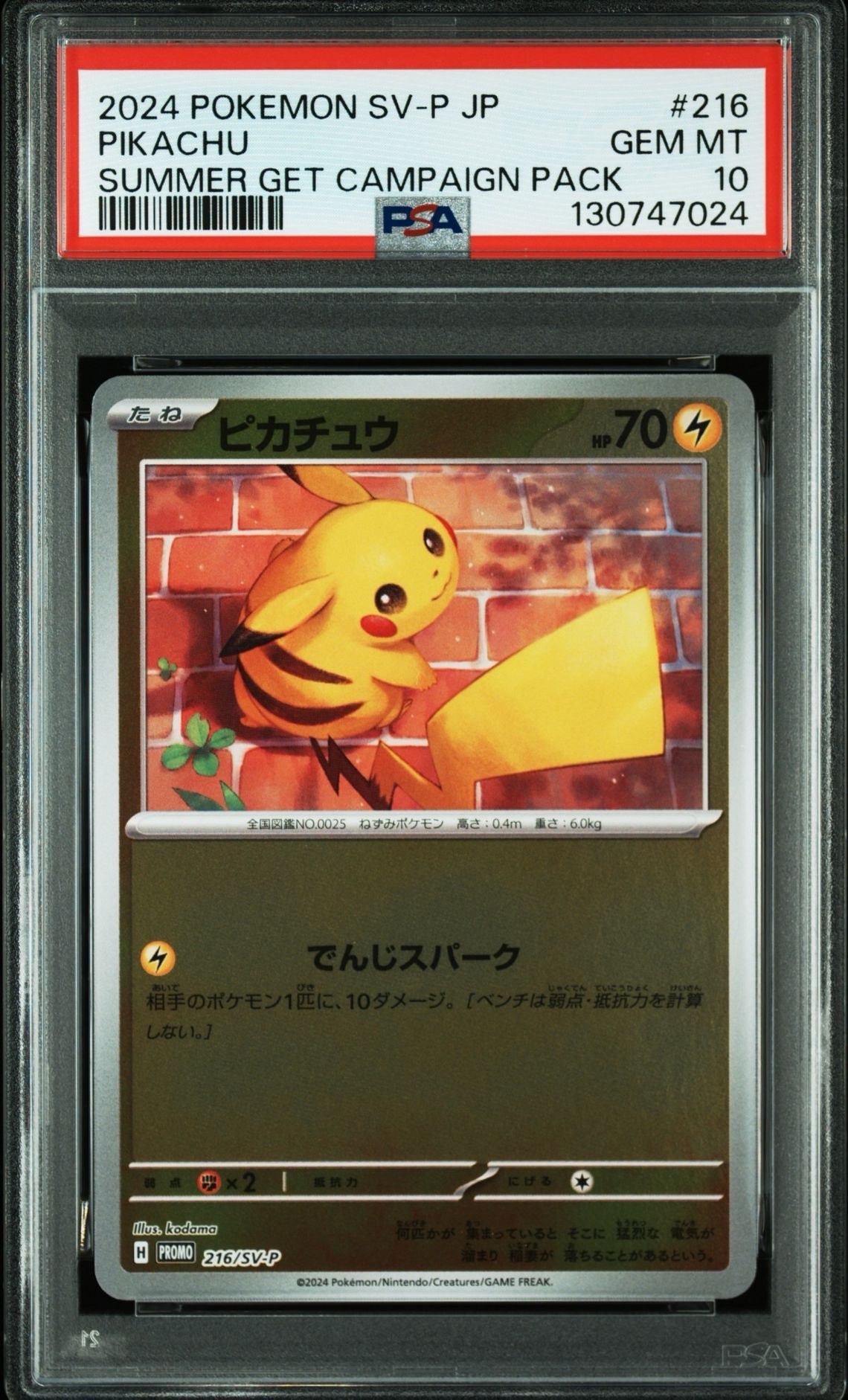 ピカチュウ P [SV-P 216](プロモカードパック「ポケカの夏がキタ!プロモカードGetキャンペーン!」)