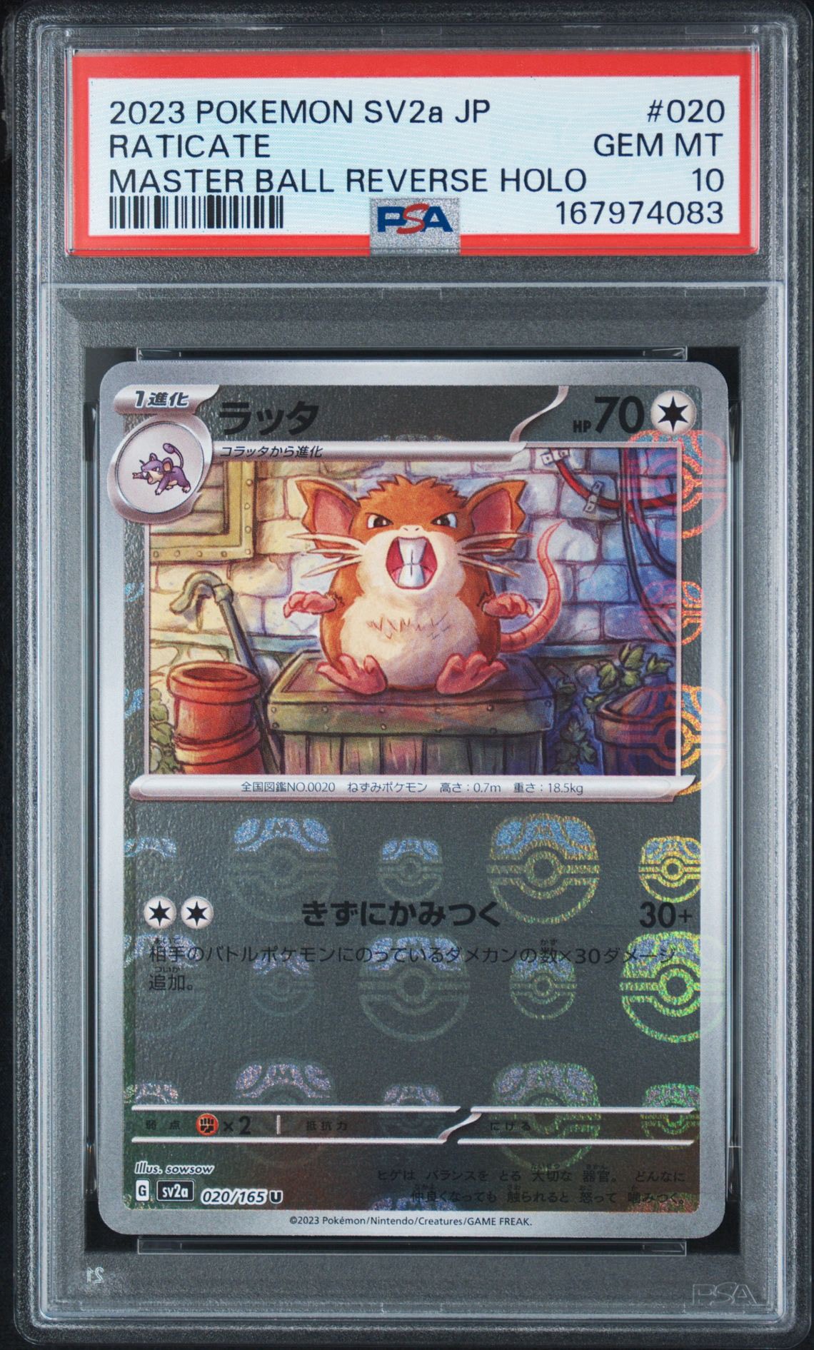 ラッタ U: マスターボールミラー[SV2a 020/165](強化拡張パック「ポケモンカード151」)