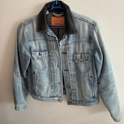 Stussy × LEVI'S Embossed Trucer "Denim" A5215-0000