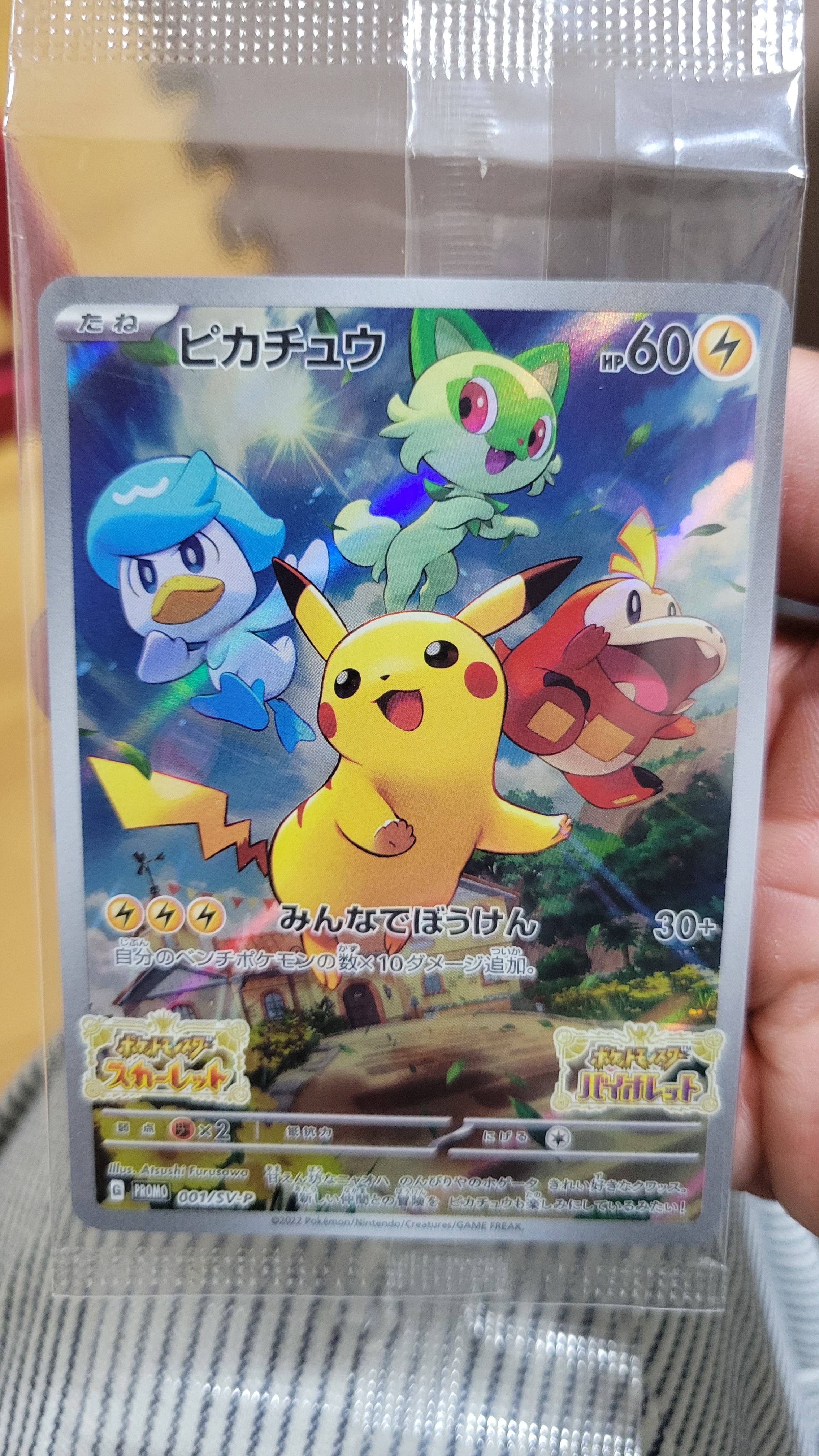 レシラム&リザードンGX SR[SM10 096/095](拡張パック「ダブルブレイズ