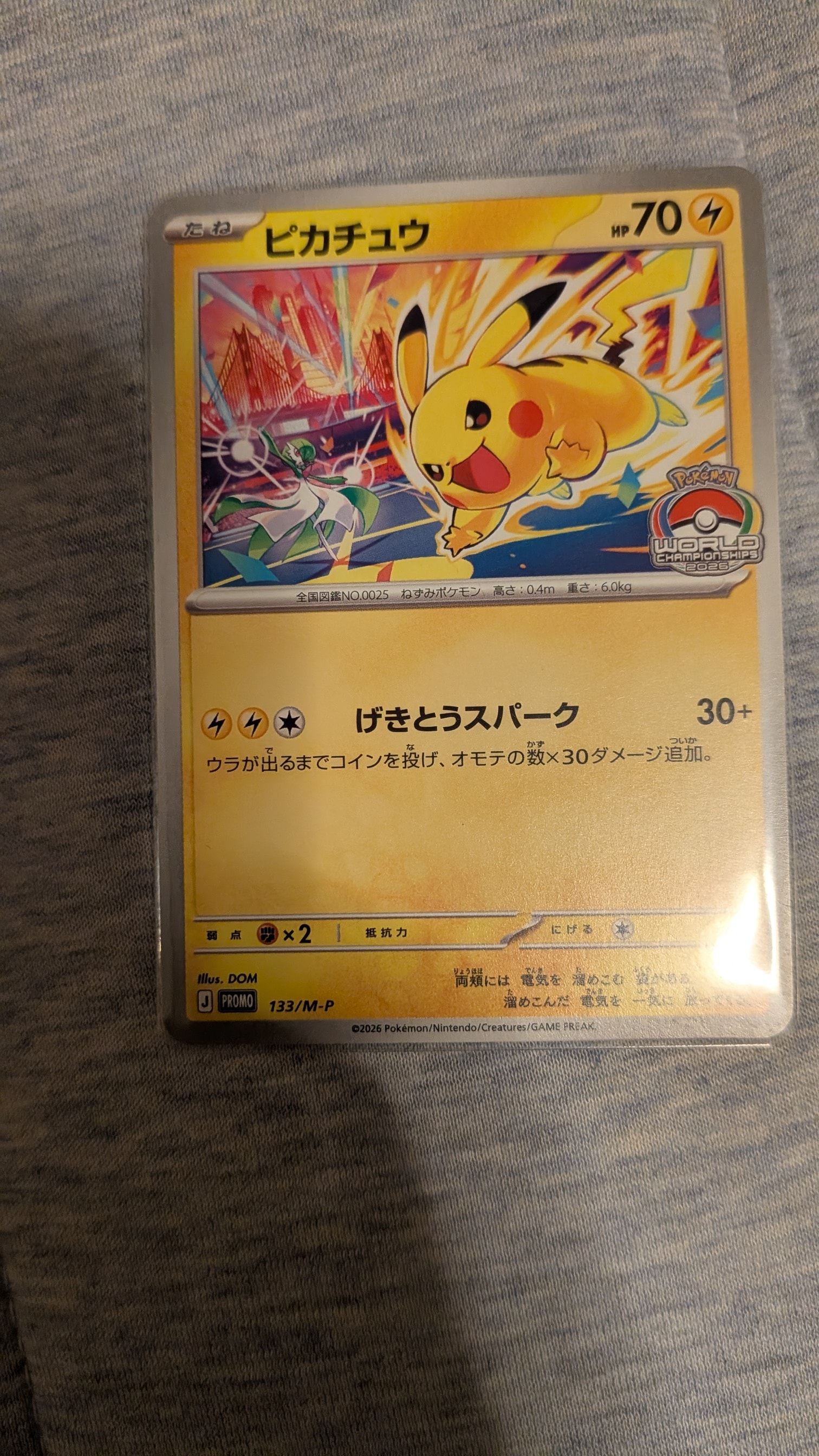 ルギア : 旧裏 [No.249](ポケモンカード☆neo「プレミアムファイル3