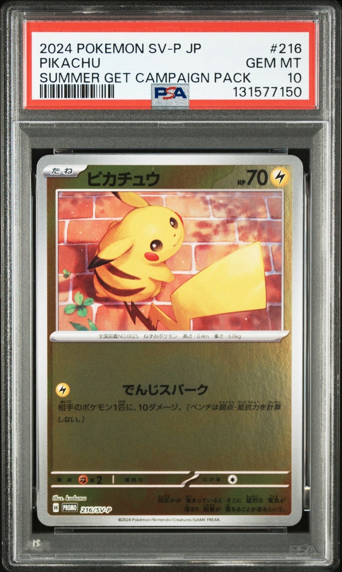 ピカチュウ P [SV-P 216](プロモカードパック「ポケカの夏がキタ!プロモカードGetキャンペーン!」)