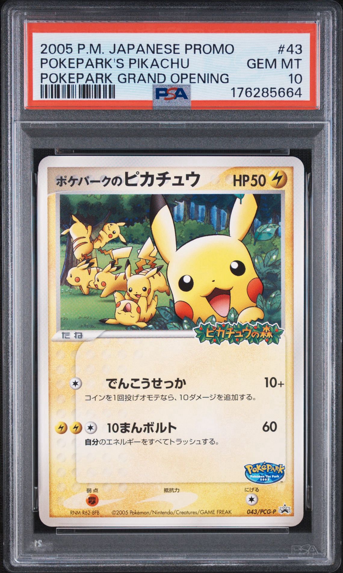 PSA10】ポケパークのピカチュウ P [PCG-P 043](プロモーションカード