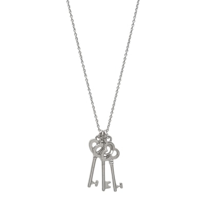 TIFFANY&Co. ティファニー スリーキー ネックレス
ペンダント ハート クラウン オーバル SV925 シルバー 新品仕上済 レディース
【中古】