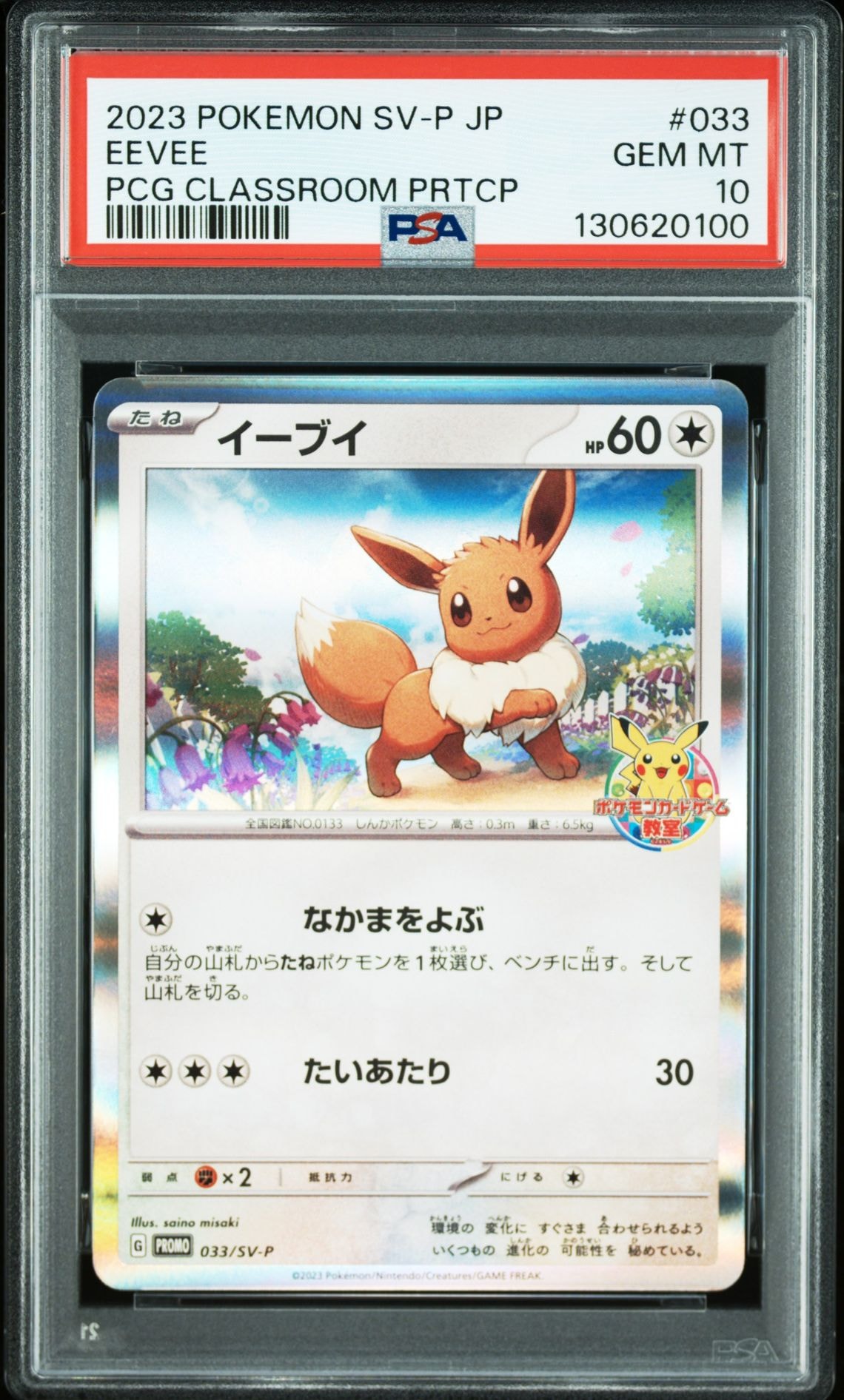 イーブイ: プロモ [SV-P 033](「 ポケモンカードゲーム教室」プロモーションカード「SV-P」)