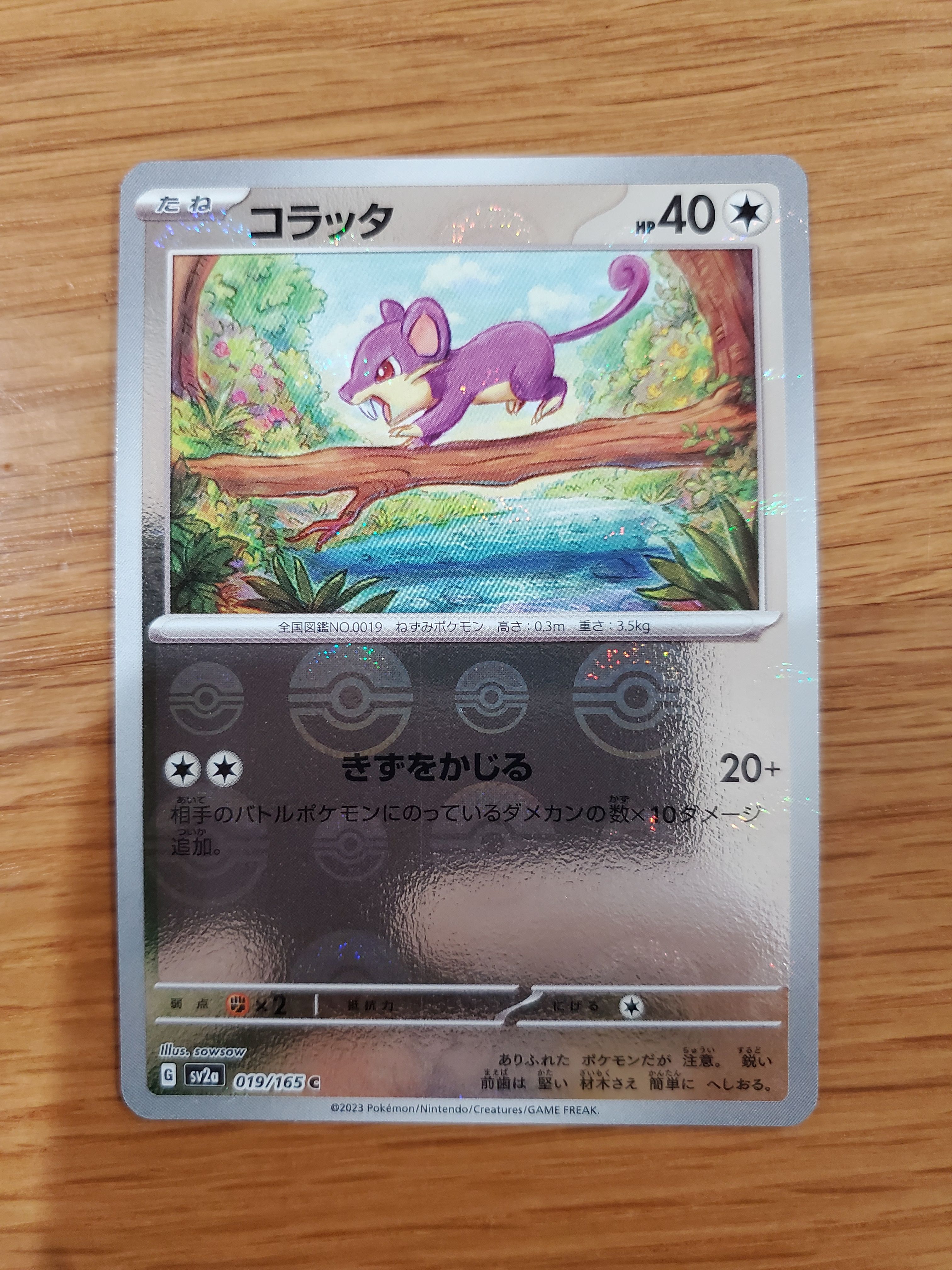 コラッタ C: モンスターボールミラー[SV2a 019/165](強化拡張パック「ポケモンカード151」)