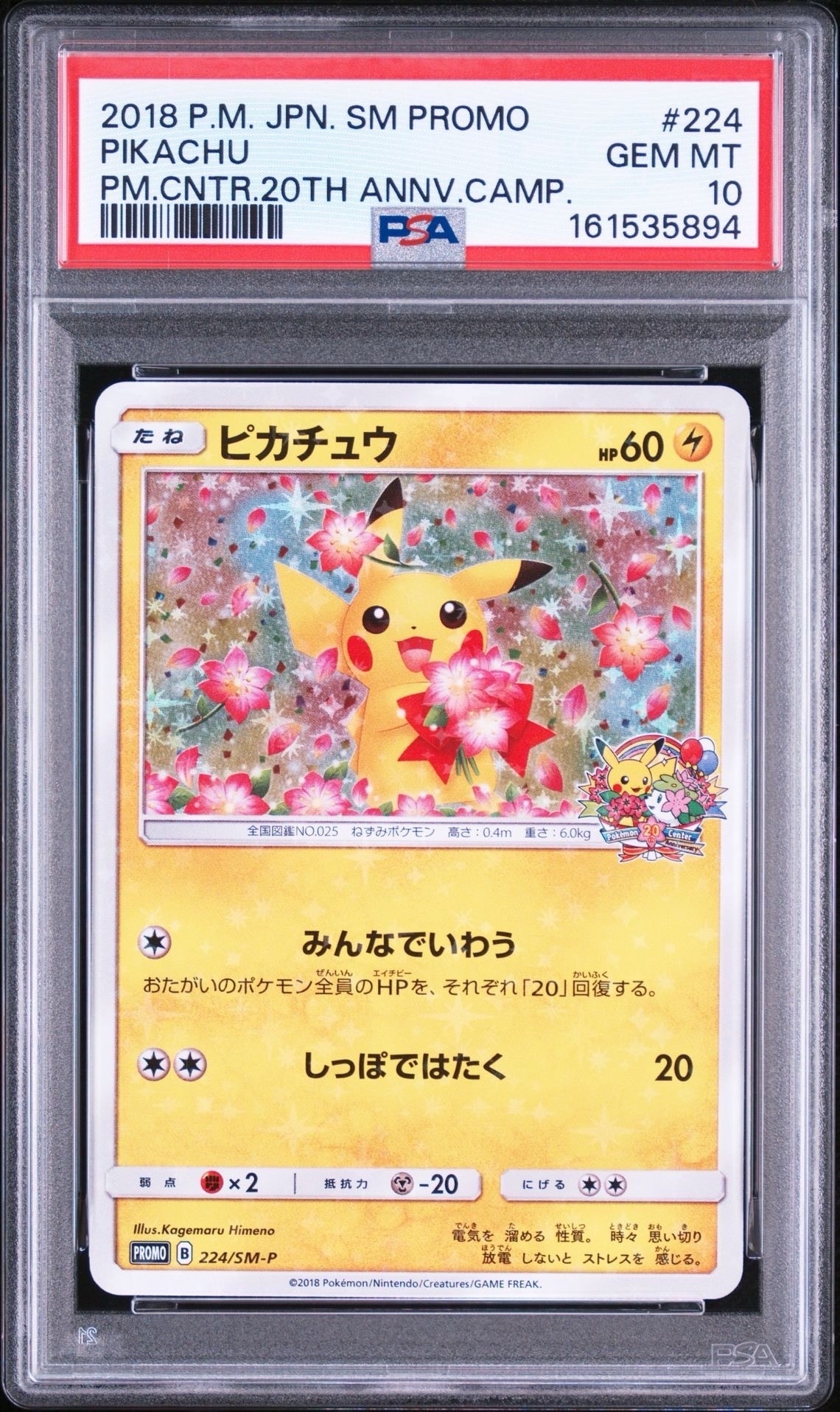 ピカチュウ: プロモ[SM-P 224](プロモーションカード「SM-P」)の新品