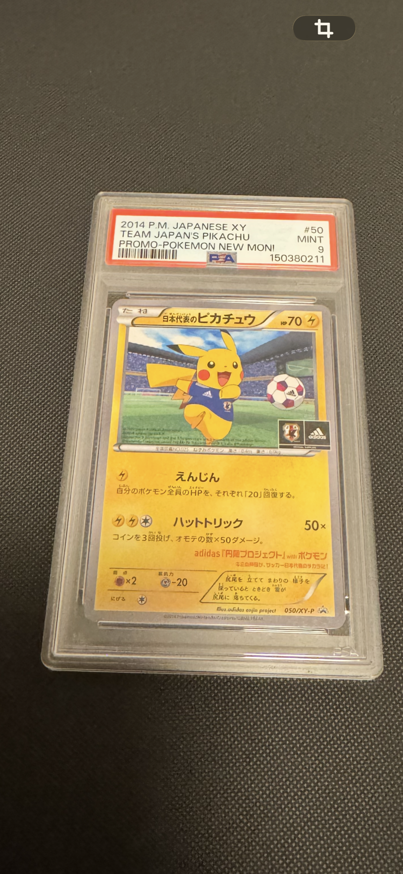 日本代表のピカチュウ: プロモ[XY-P 050/XY-P](プロモーションカード「XY-P」)